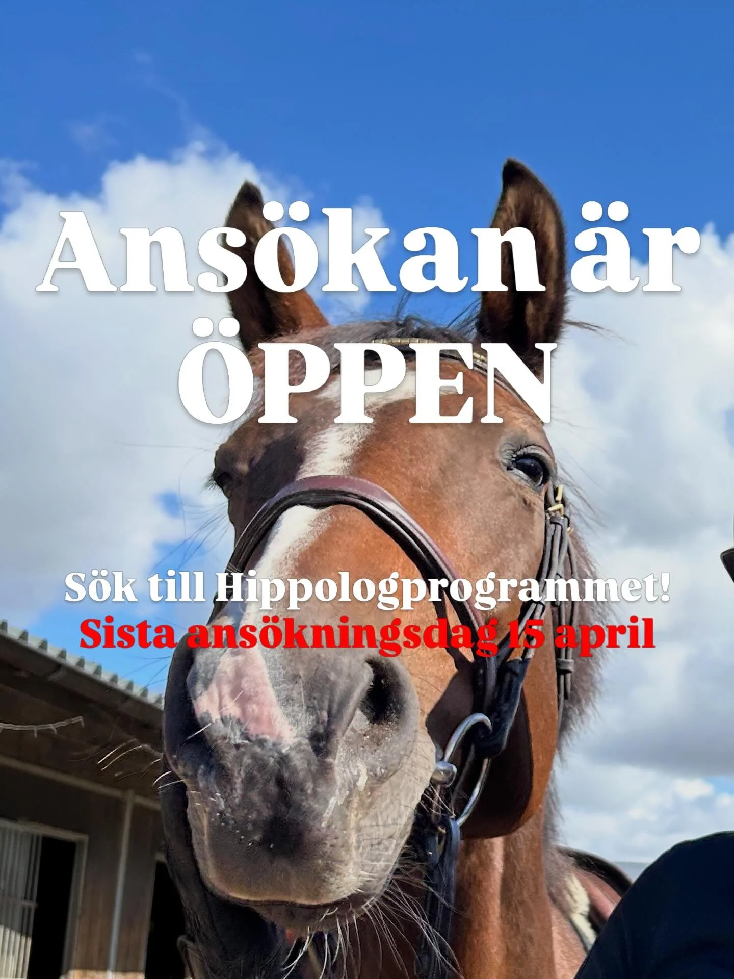 🐴 Missa inte att s&ouml;ka hippologprogrammet!!

🐴 L&auml;s mer om vad du beh&ouml;ver f&ouml;r beh&ouml;righet och hur antagningen g&aring;r till p&aring; SLU.se https://share.google/Rd6r9mUHdIPzZaKHZ 
🐴 S&ouml;k redan idag p&aring; Antagning.se 