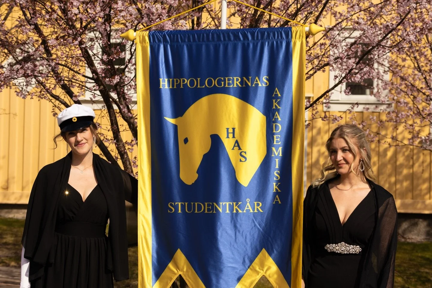 Lite gott och blandat fr&aring;n Professorinstallationen! Den 24/4 fick 11 nya professorer sin efterl&auml;ngtade titel, Jodaa som ordf&ouml;rande och Ronja som fanb&auml;rare var d&auml;r och representerade HAS 🐴 Jodaa var &auml;ven p&aring; ordf&o