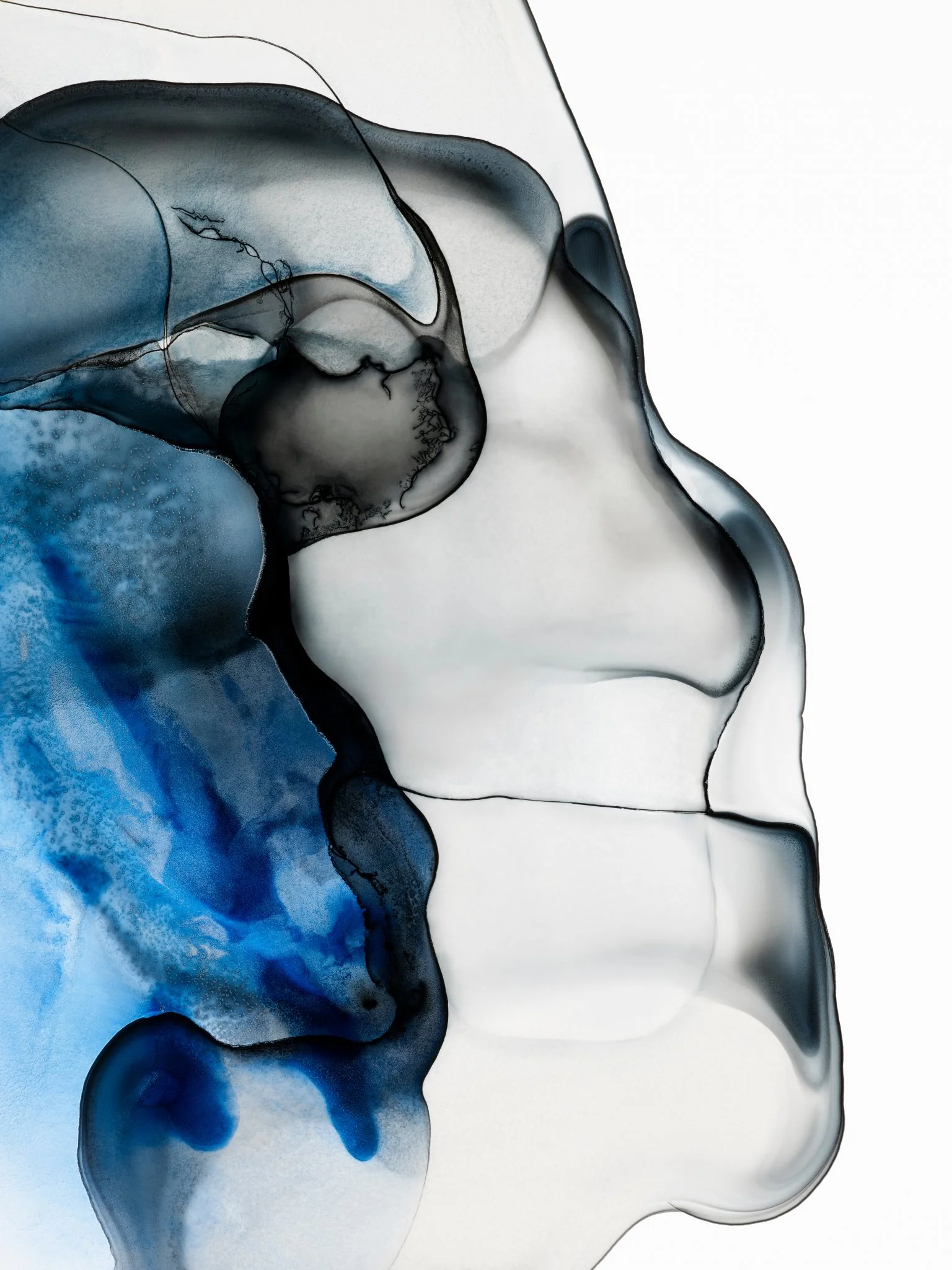 «Inkspot 3550», 
Ansgar Valbø
97 poeng, Gull