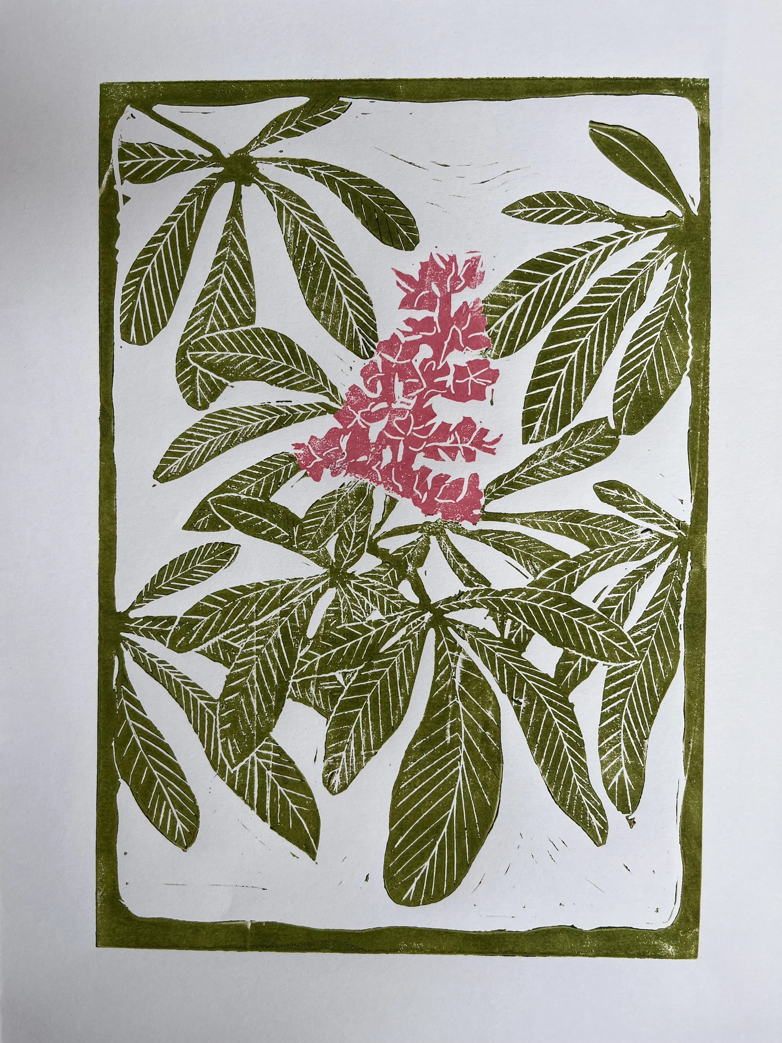 Horse Chestnut 
Two-colour linocut print 
2025 
Image size: 21 x 15 cm 
Sheet size: 29 x 25 cm 
Variable edition of 10 
£ 50
