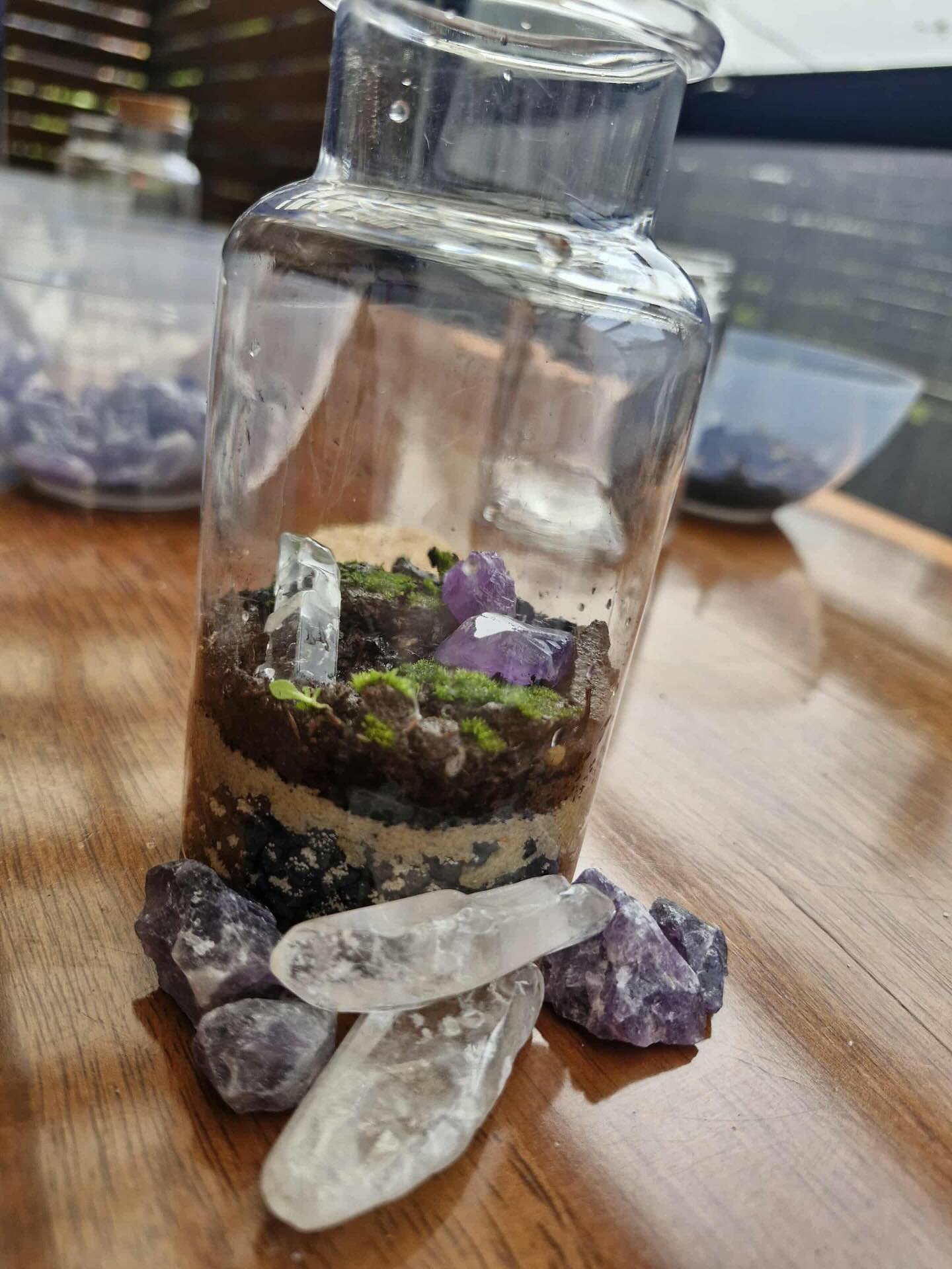 🌿 Teeny Tiny Terrariums! 🌱

Make the miniature garden of your dreams! 

Featuring a range of #crystals like #amathyst #quartz and #rosequartz 💎, #mini #mushrooms 🍄 #bees 🐝 and #ladybugs 🐞 and more!

Next workshop: Next Saturday in #geelong !
@t