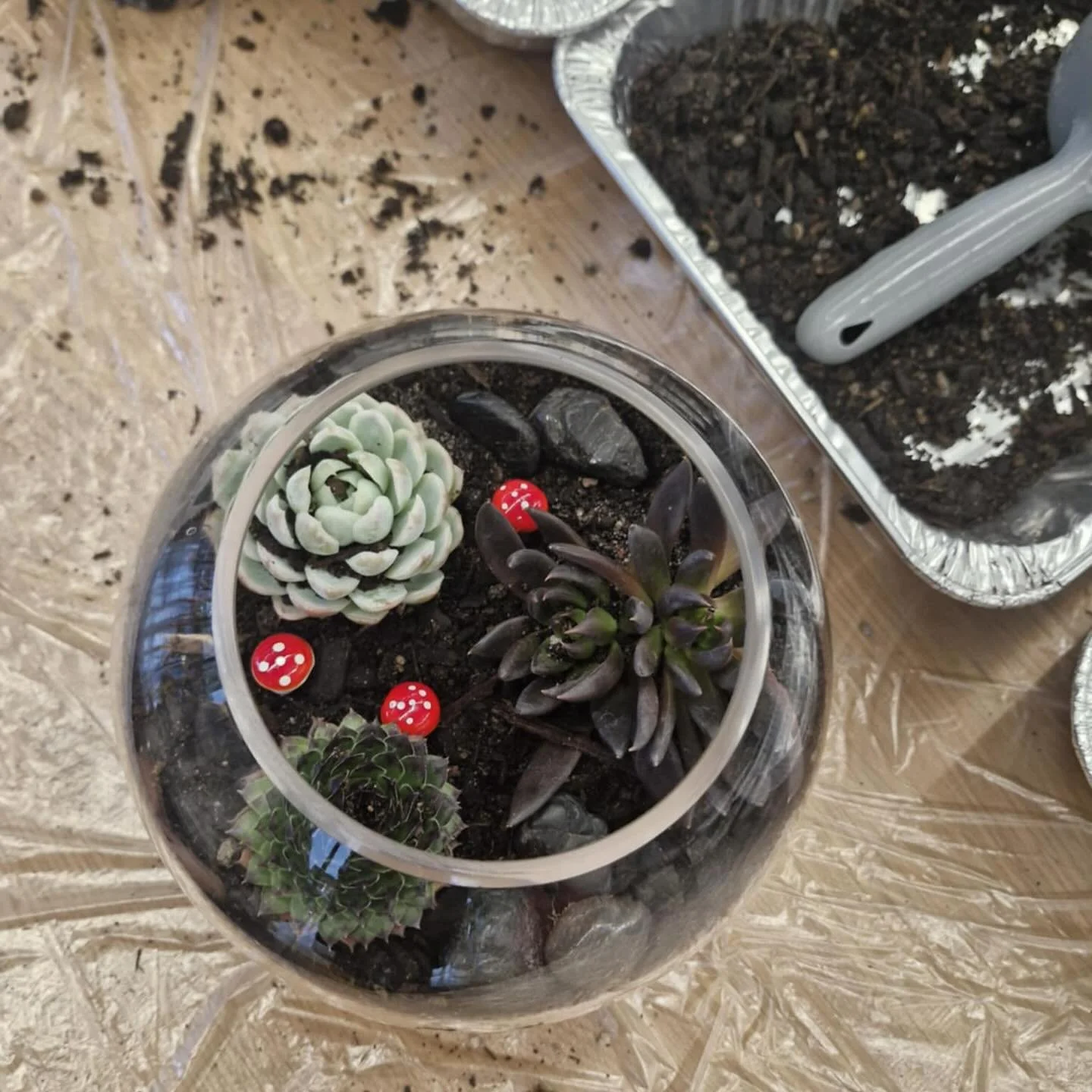 Which is your favourite! 🍄🦋

#terrarium #workshop #succulents #sparkle #bees #ladybugs #butterflies #stones #gems #events #party #class #corporateevents

@classbento