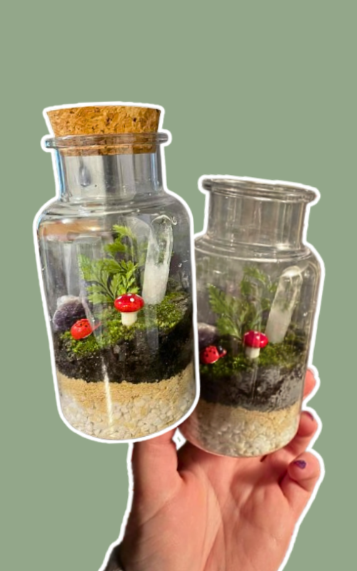 Tiny Terrarium 1 (1).png