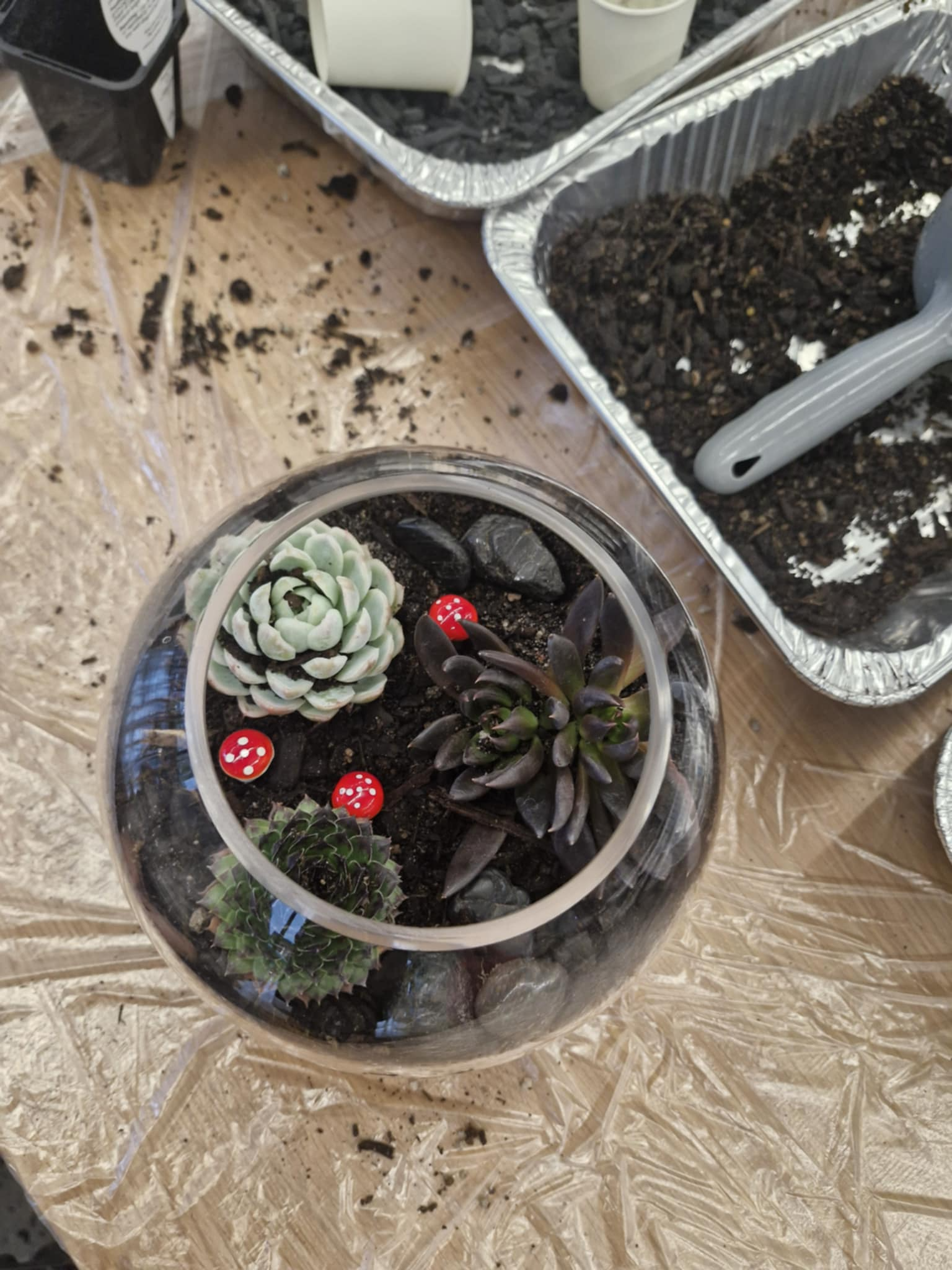 1 Dark succulent terrarium.jpg