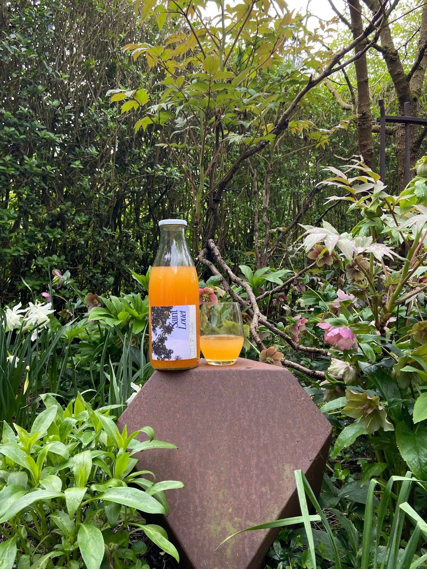 Spring tastes like this ! 🍏
Our homemade apple juice is still available to order! Freshly pressed from 5 old apple varieties, grown in our orchard and made with love. 

🌸 Looking for a thoughtful Easter gift or the perfect springtime refreshment? T