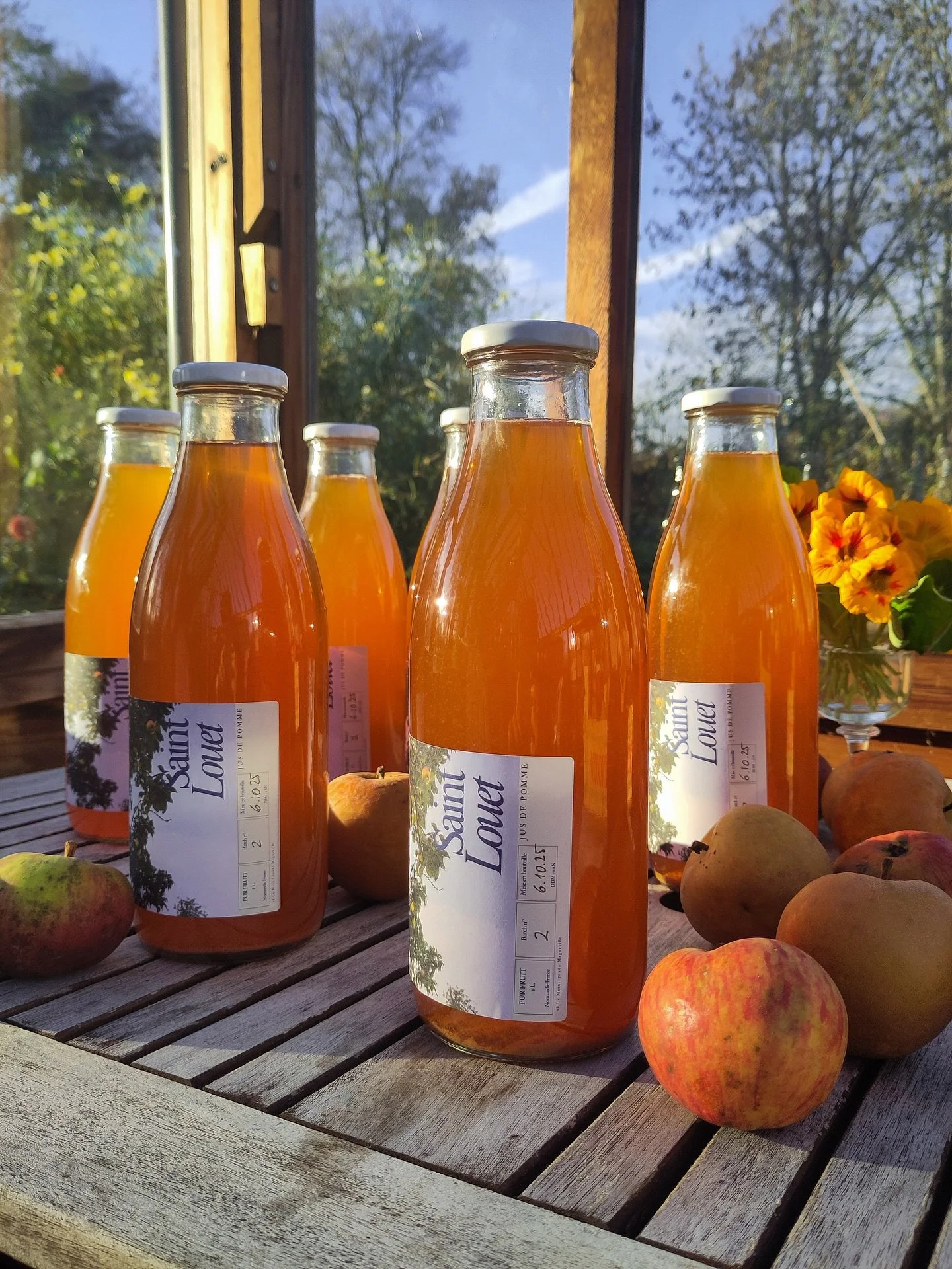 Try our home made apple juice 🍎
Our Saint-Louet apple juice of 2025 is for sale ✨
In need of a good gift or a small treat for yourself, our apple juice could be the perfect fit! Pure juice from five old apple varieties, handpicked, all from our old 