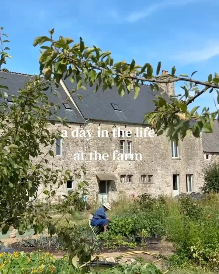 a summer&rsquo;s day at the farm 🌞

#lafermedestlouet #cotentin #normandy #farmlife #dayinthelife