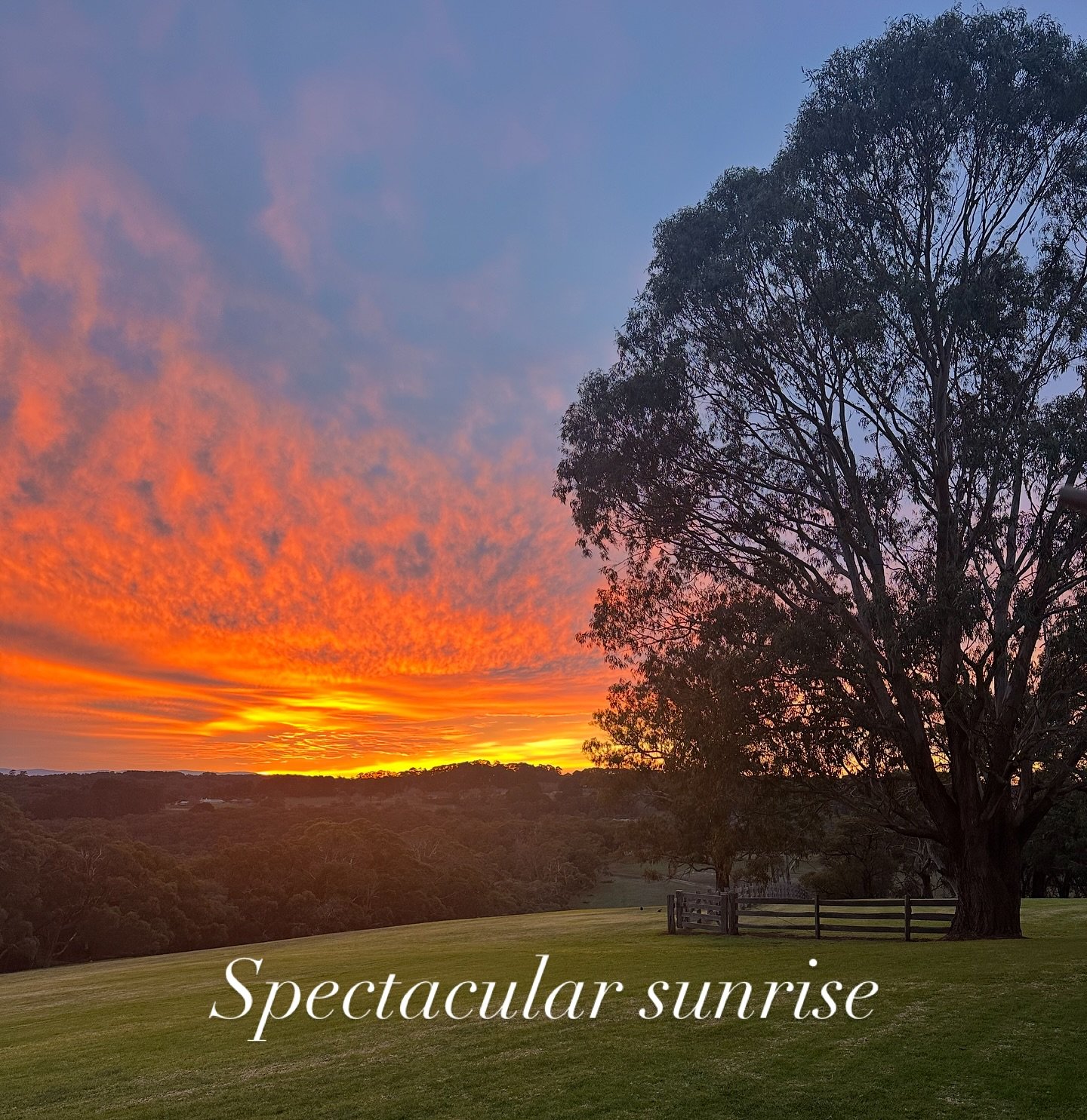 If the sunrise is any indication, a beautiful day awaits.