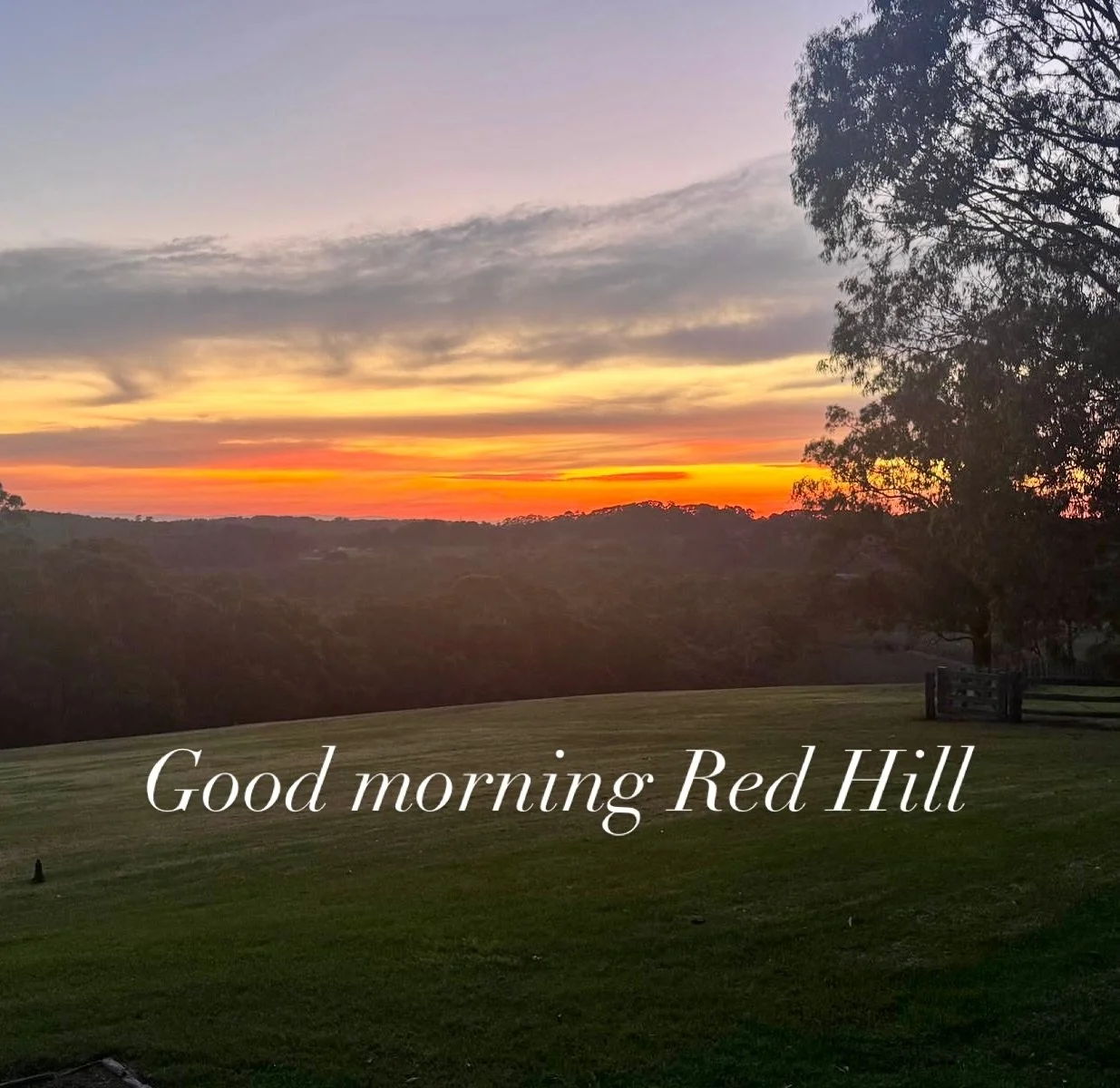 Loving this autumn weather