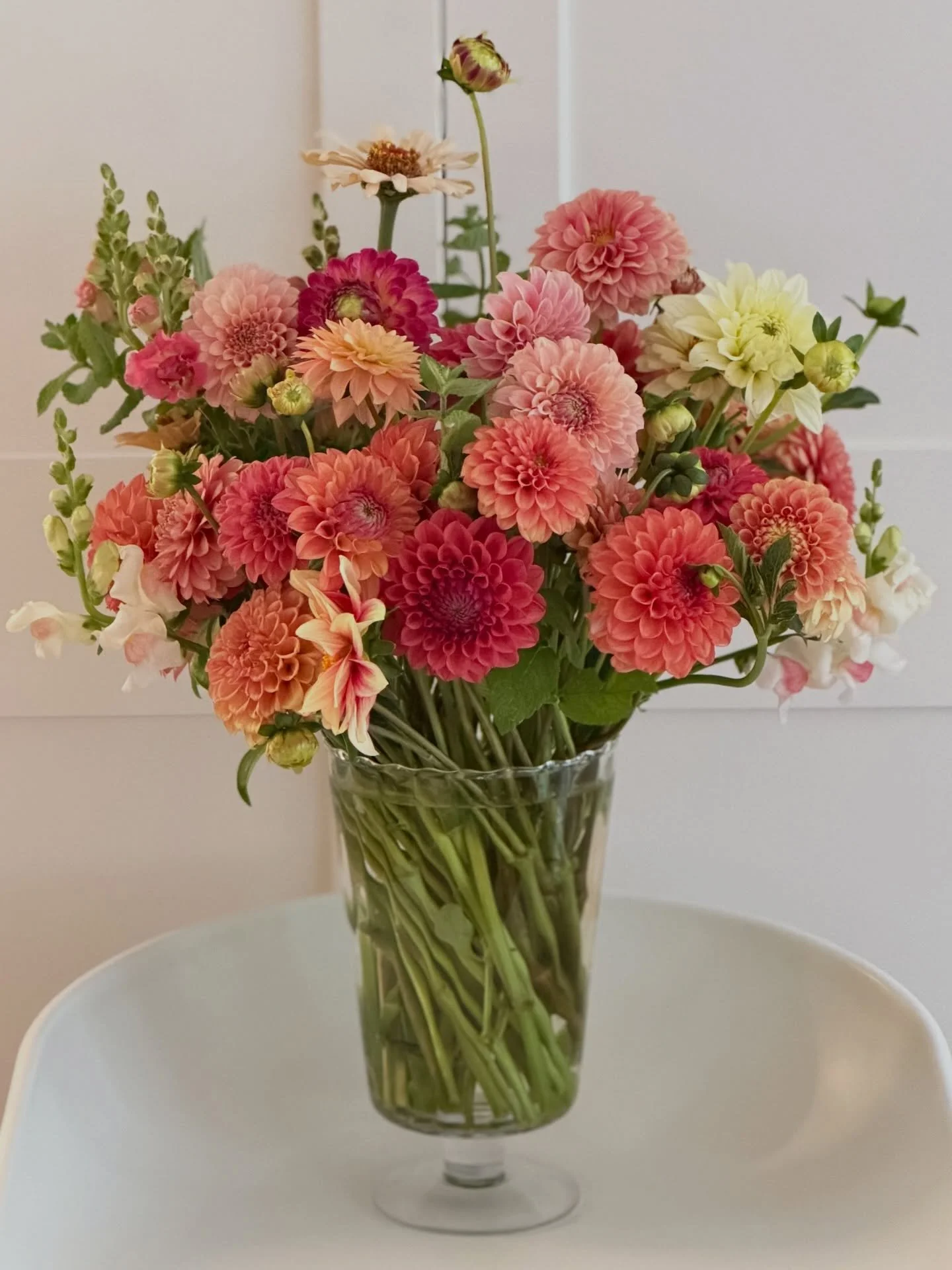 Fresh flowers, marmalades, relish and organic farm eggs are at our farmgate stand on Saturdays. 164 McIlroys Rd, Red Hill