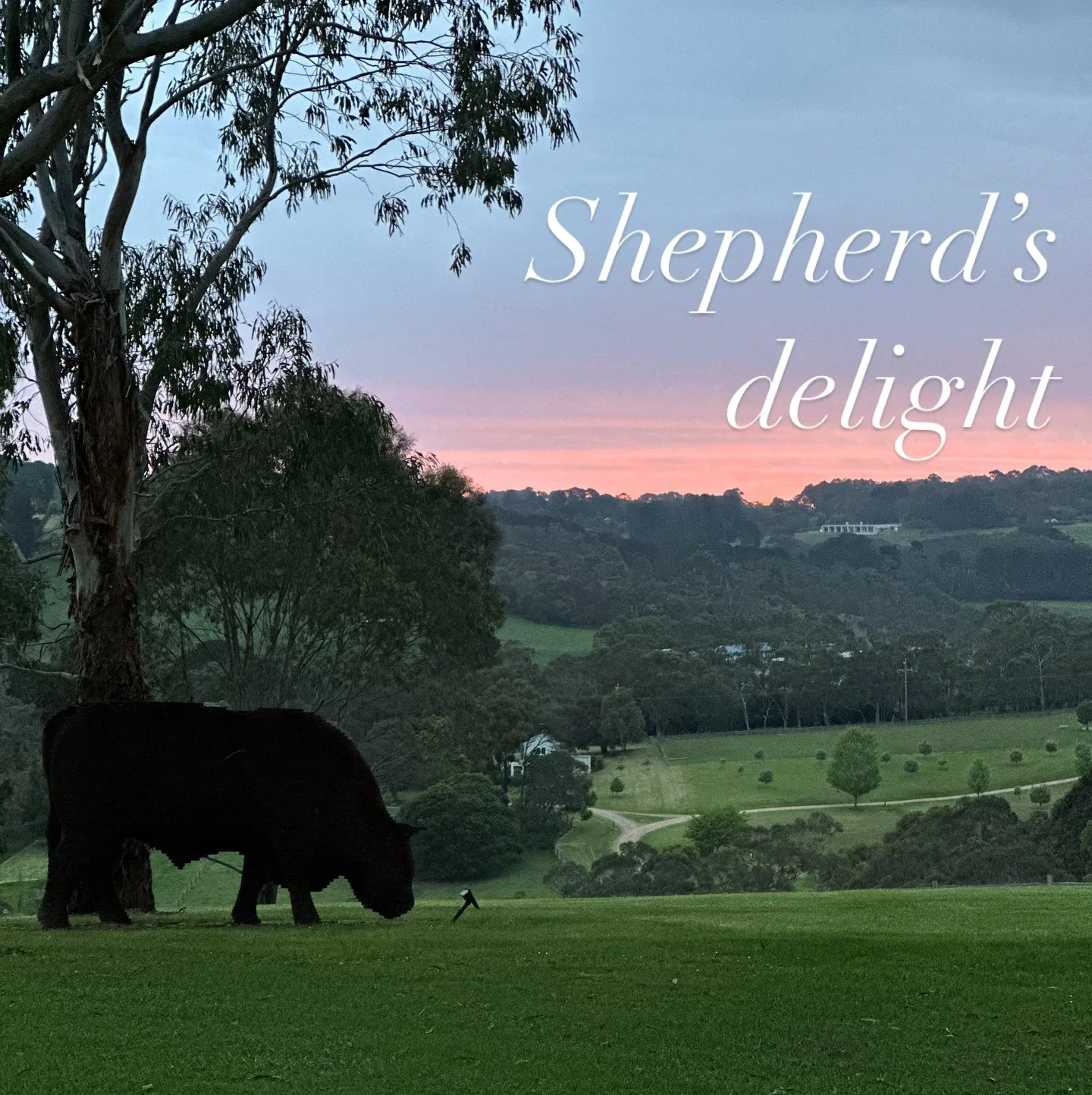 Pink sky at night in Red Hill.