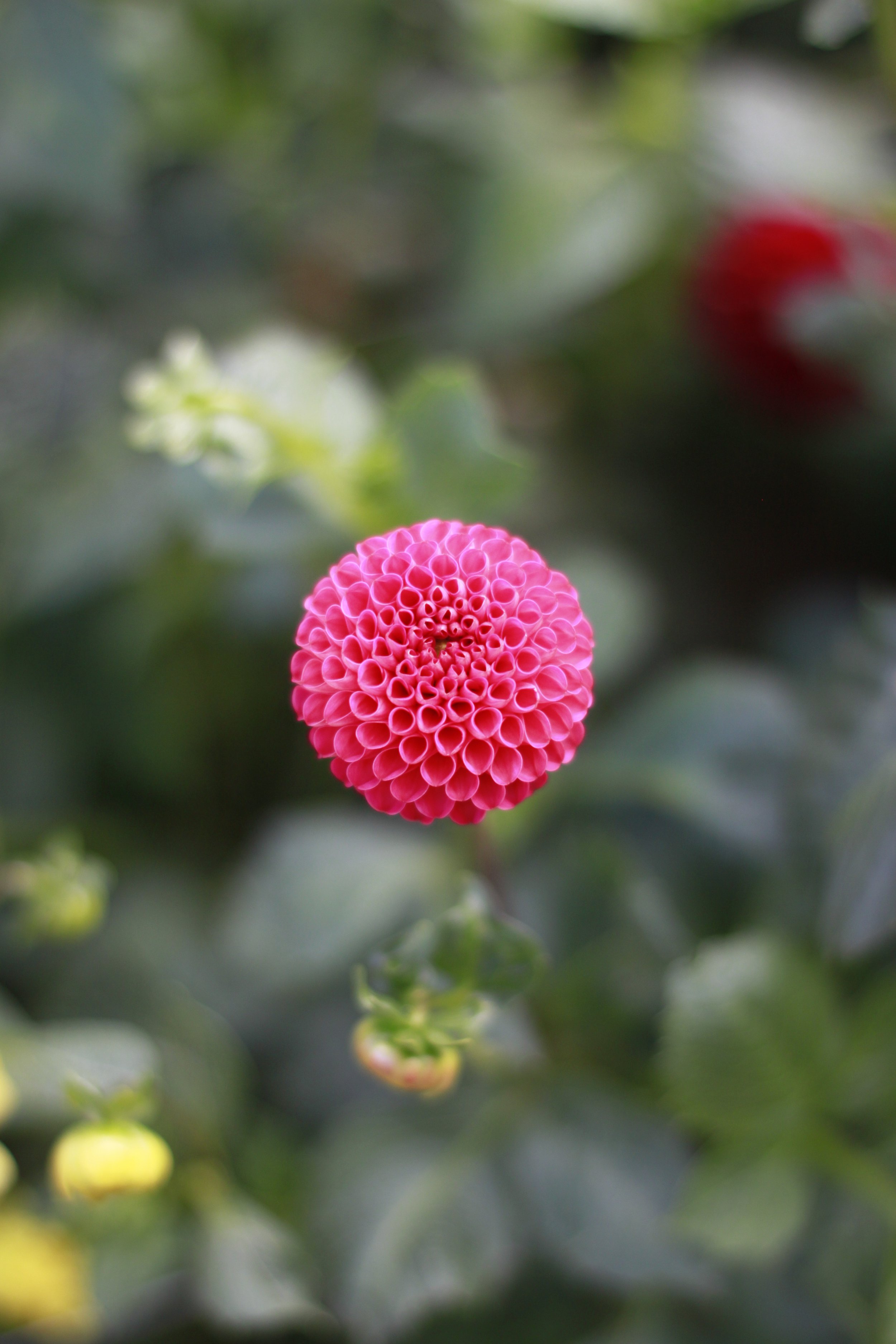 pensford marion 3.JPG