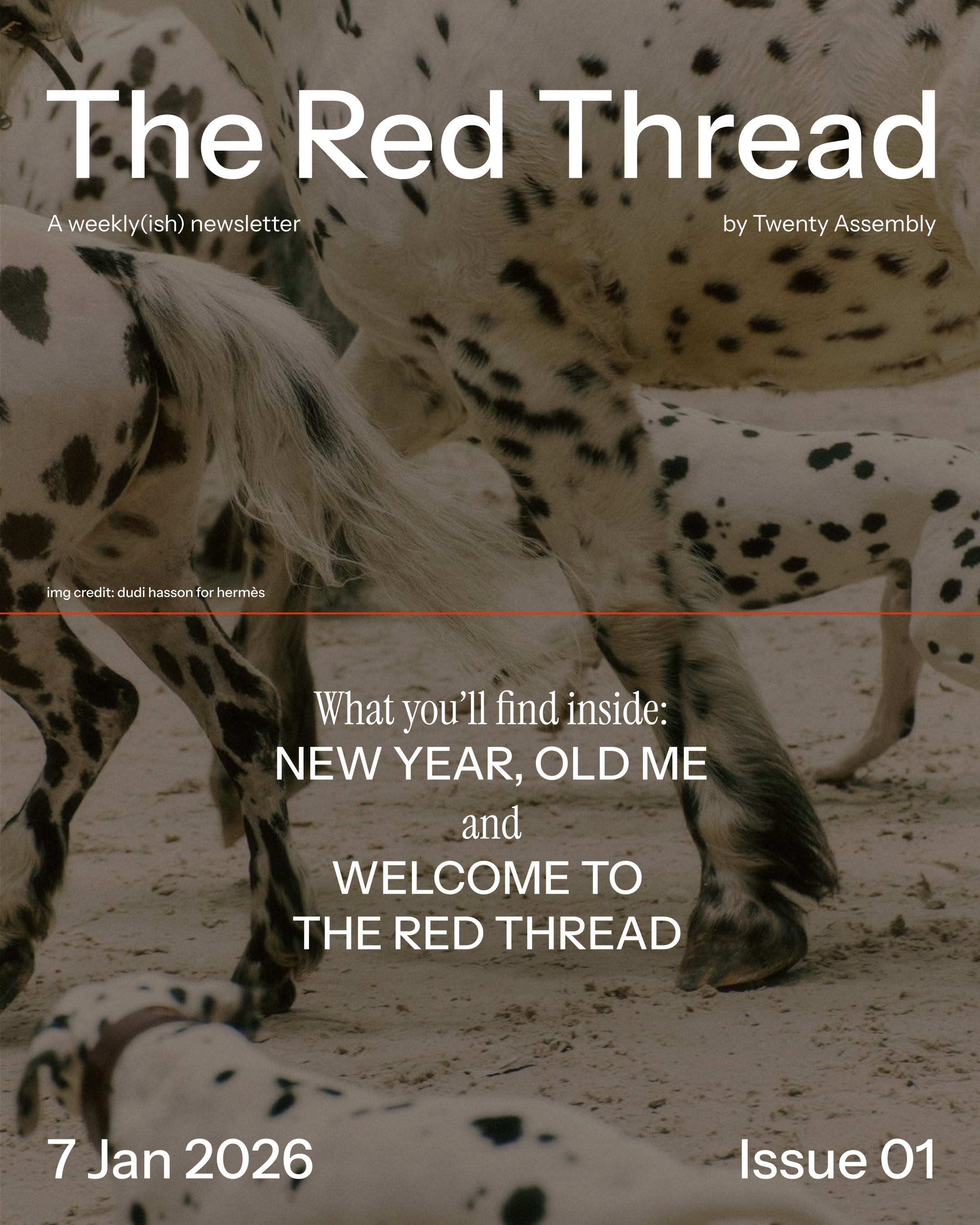 ISSUE 01: New year, old me