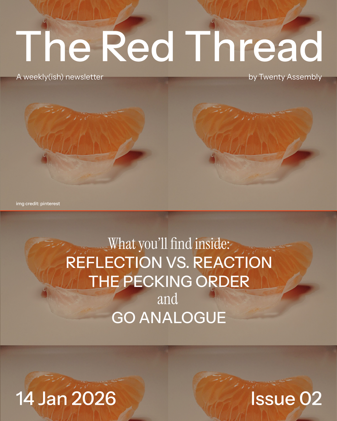 ISSUE 02: Reflection vs. Reaction and The Pecking Order