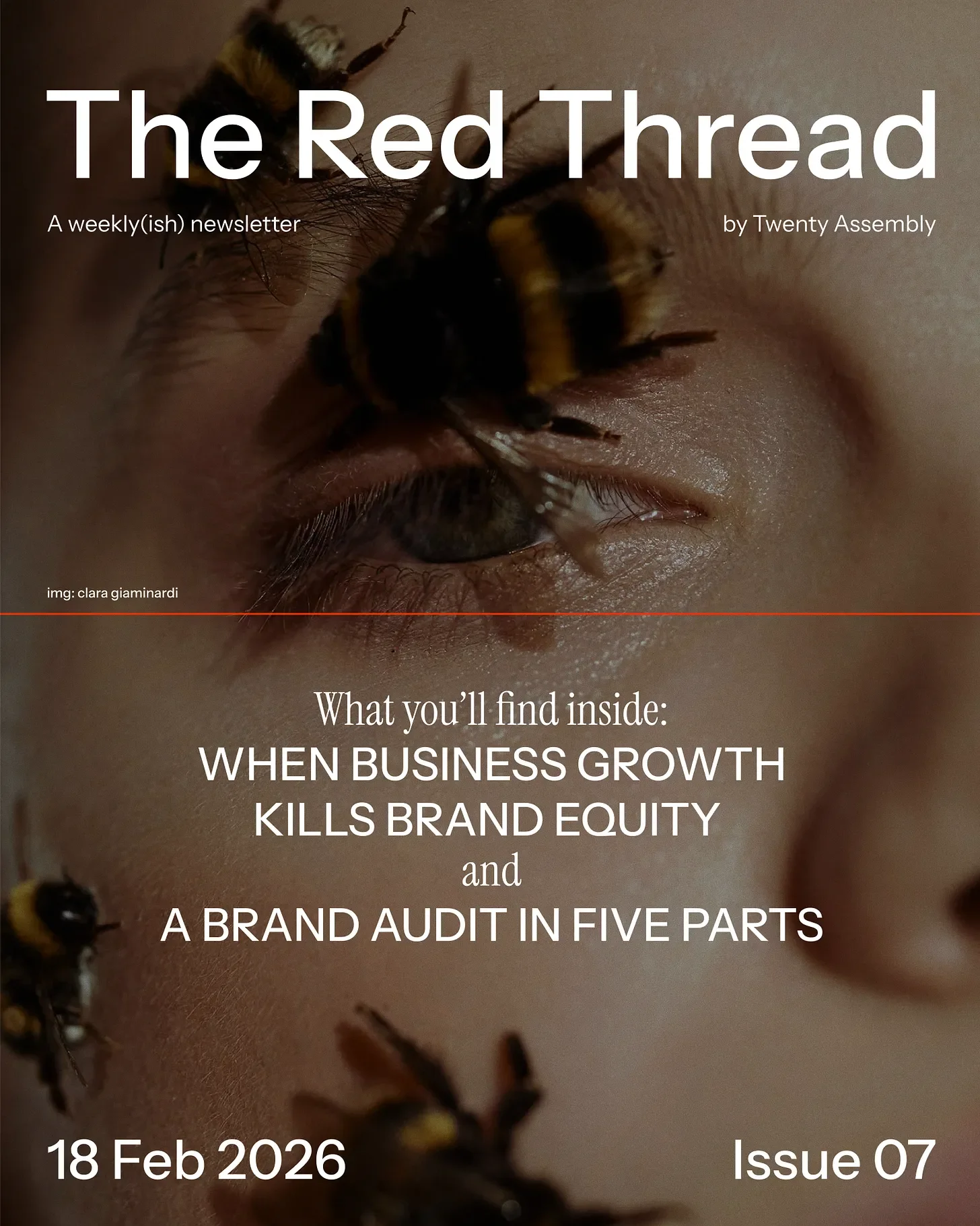 ISSUE 07: When business growth kills brand equity