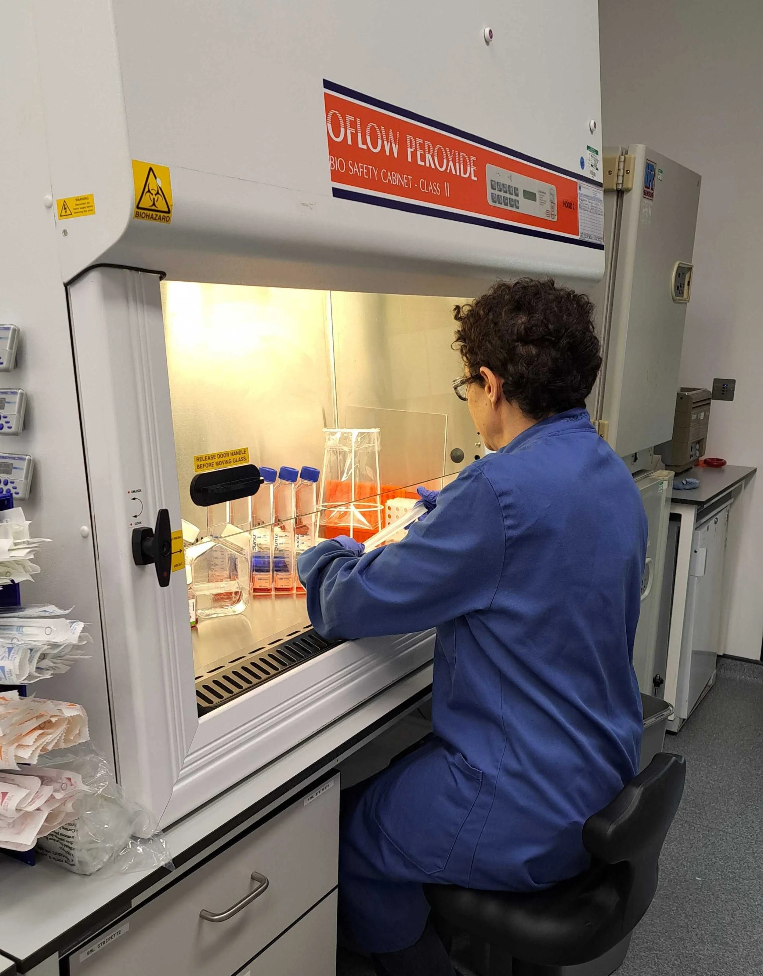 Sarah working in our Tissue Culture