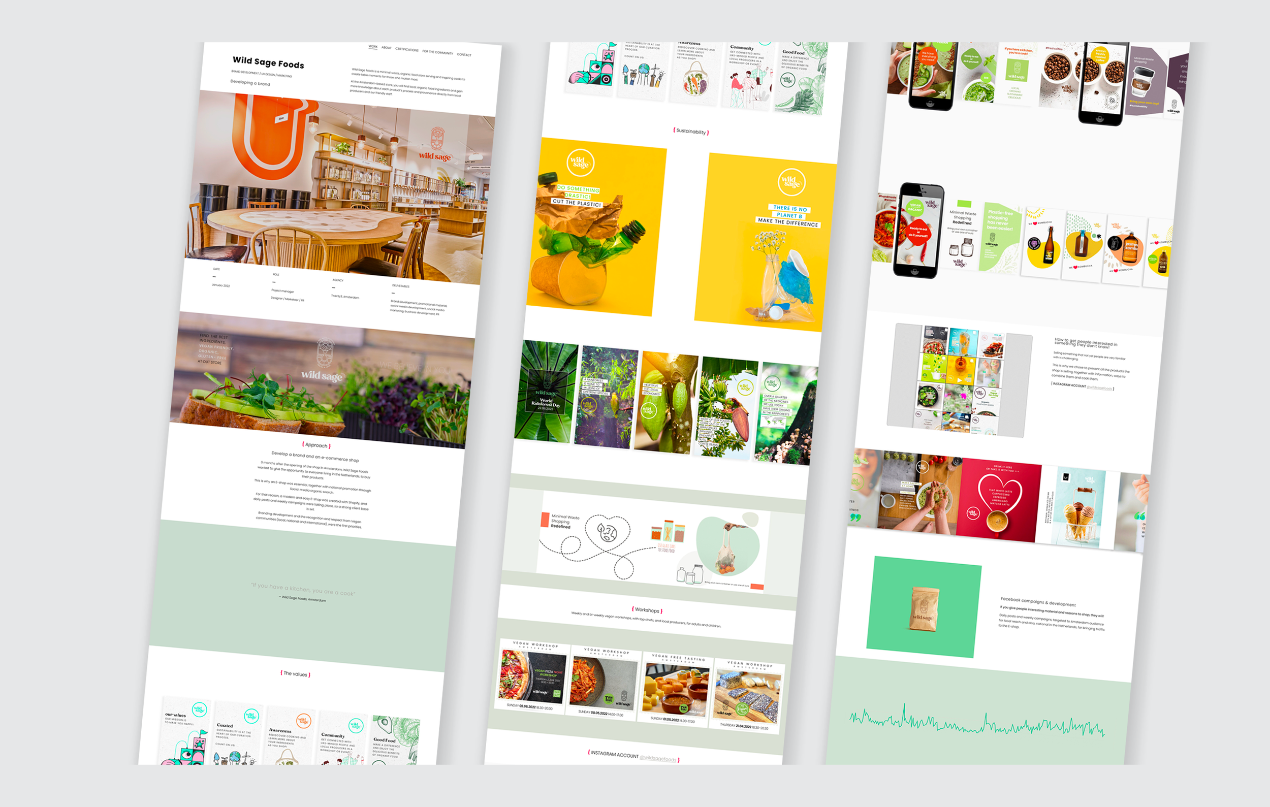 portfolio5.png