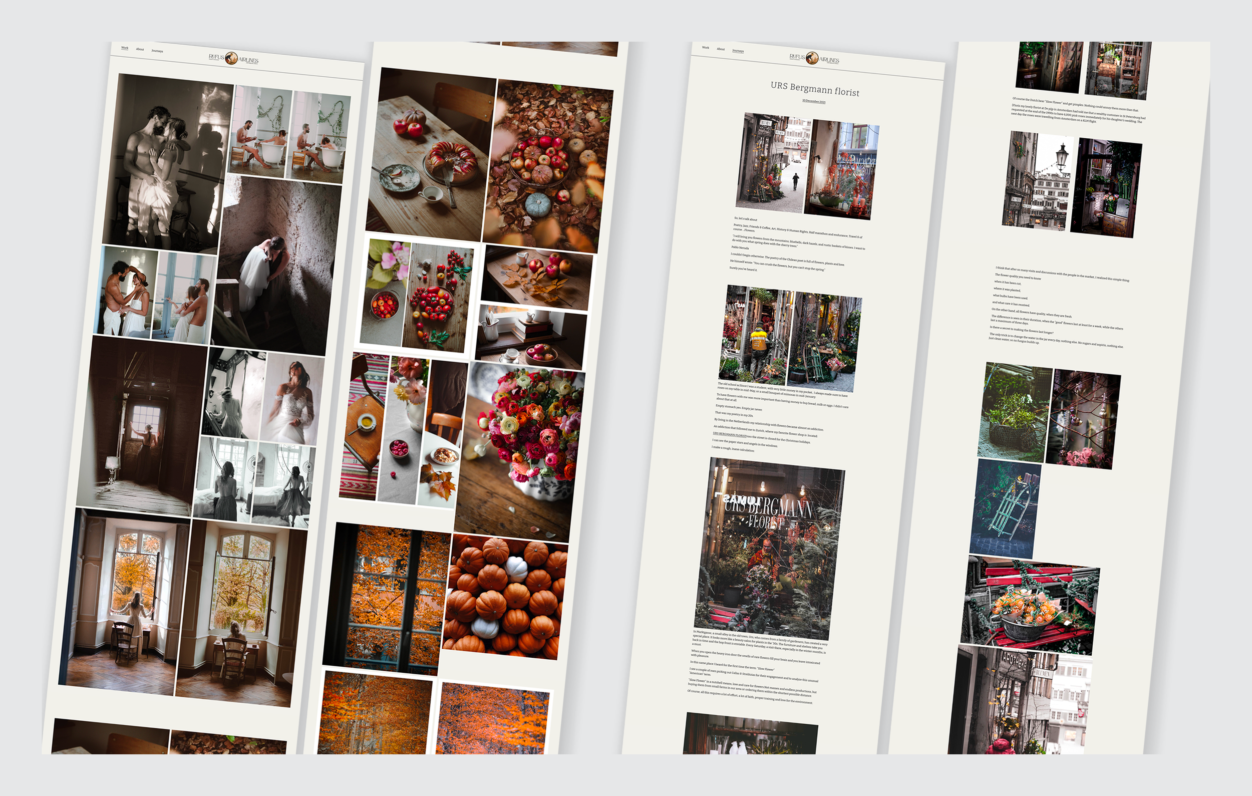 portfolio3.png