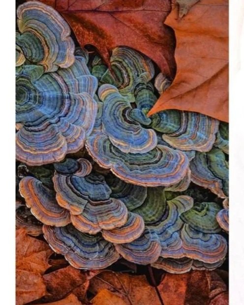 Inspiration For Glitch Series - Internet Stock Image