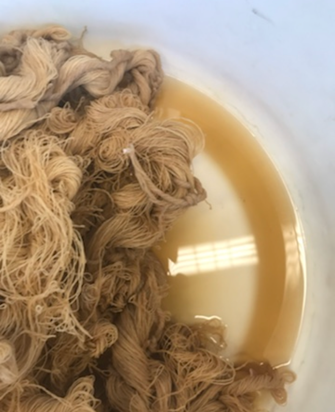 Process Photo - Dye with CHAI