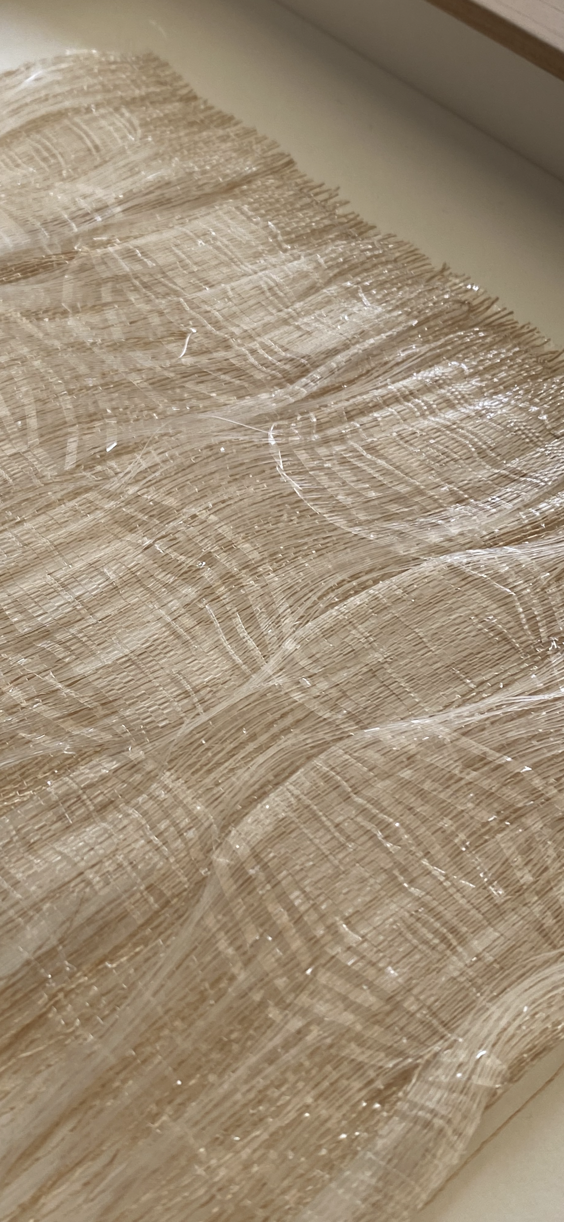 Coastal Debris Metamorphosis
Paper, Plastic and Mono
