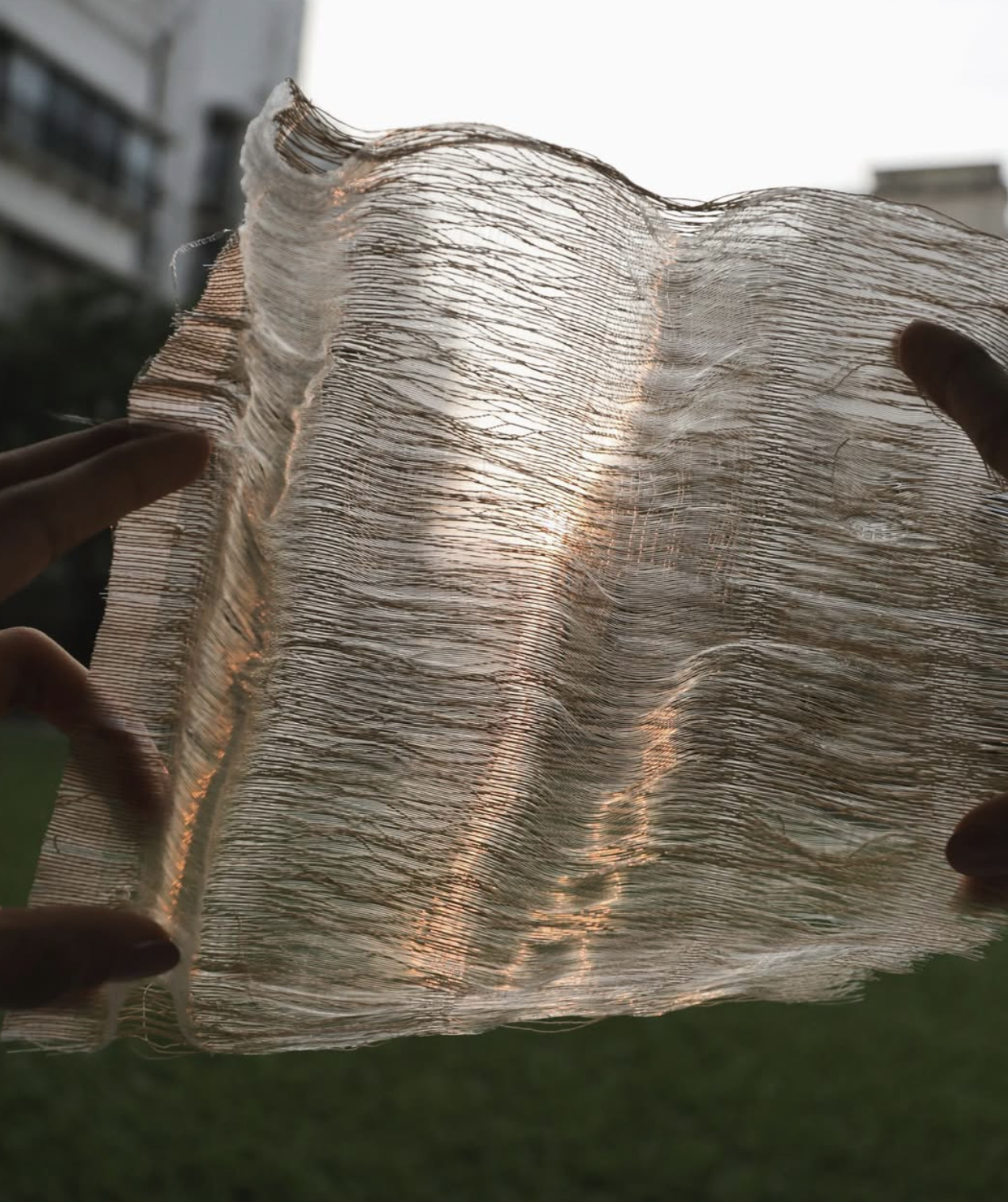 Coastal Debris Metamorphosis
Paper and Mono