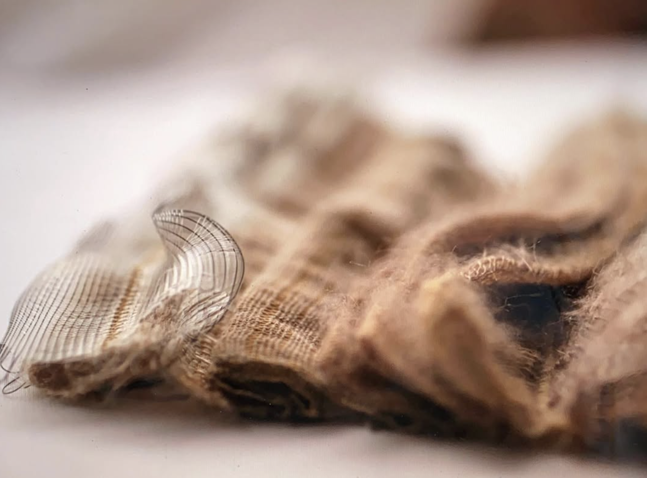 Coastal Debris Metamorphosis
Wool, Mono, Paper, Mohair