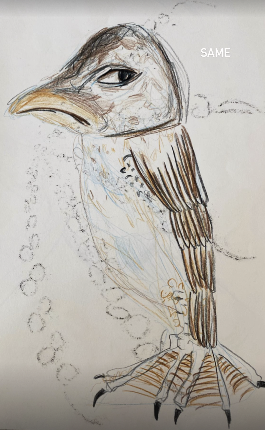 Screenshot 2025-09-30 at 10.11.10 PM.png