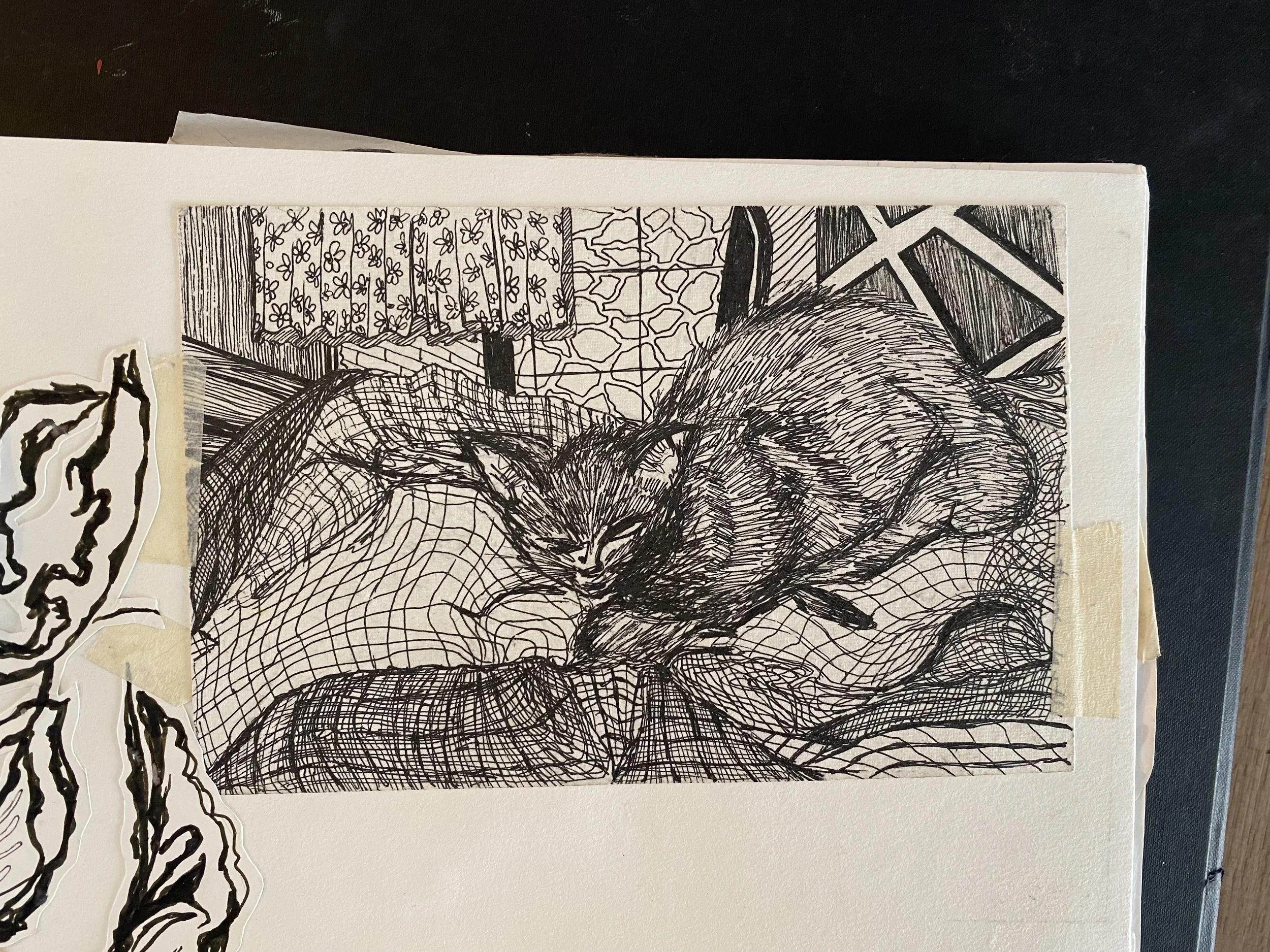 Fine Liner Pen Drawing on Paper