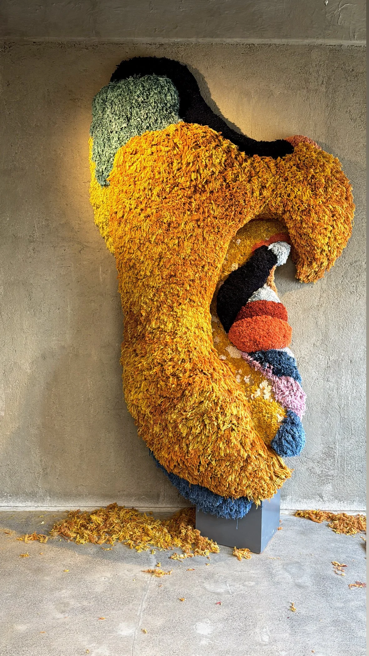 Work by Lorenzo Vitturi at Nature morte — Mid-production and Creative Assembly: Rajasi Patil
