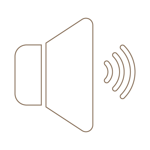Icon of a speaker with sound waves indicating volume or speech.