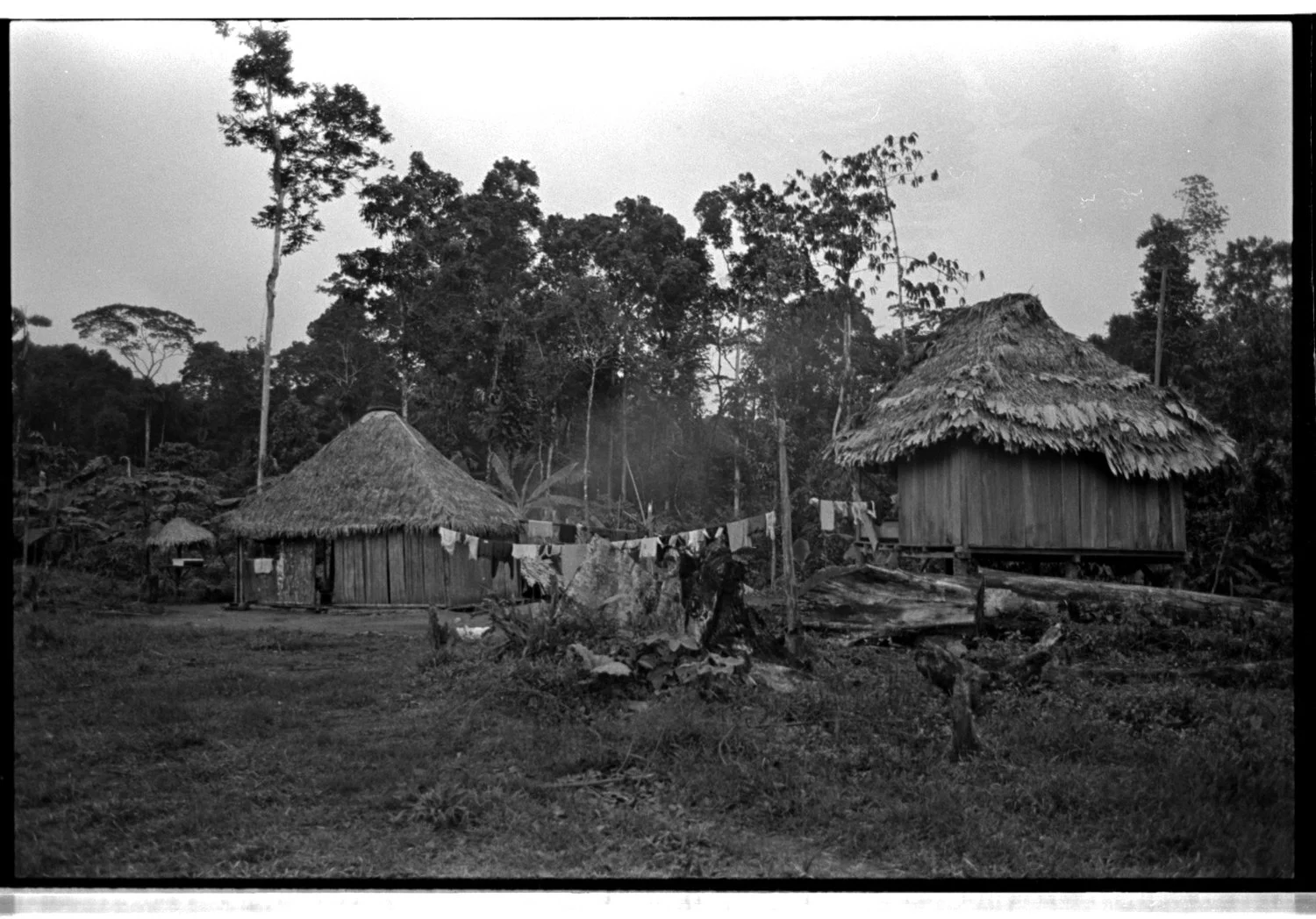 yasuni2001©mariaprimoSTUDIO_004.jpg