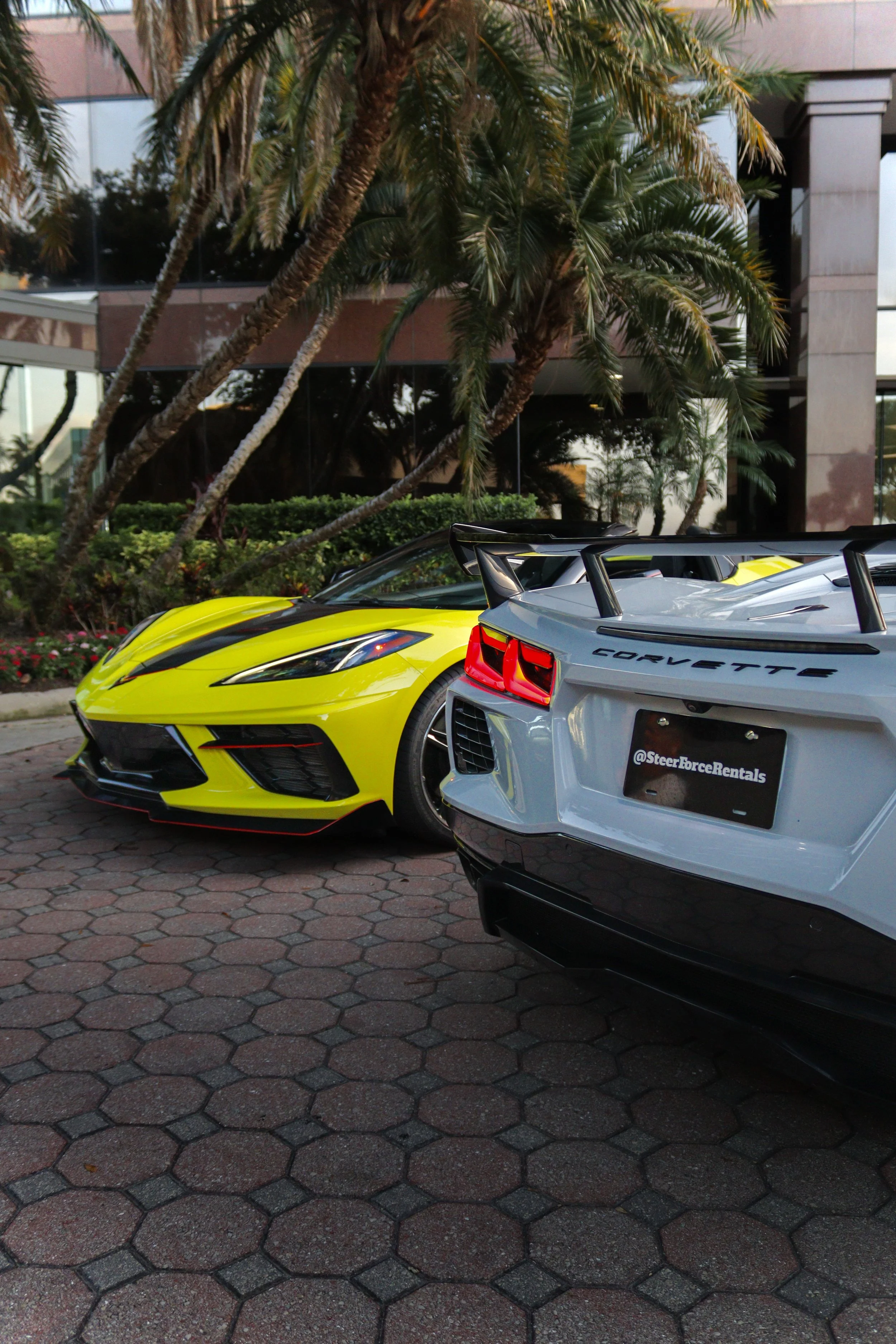 How Much Does It Cost To Rent A Corvette C8 Convertible In Tampa? Pricing Guide