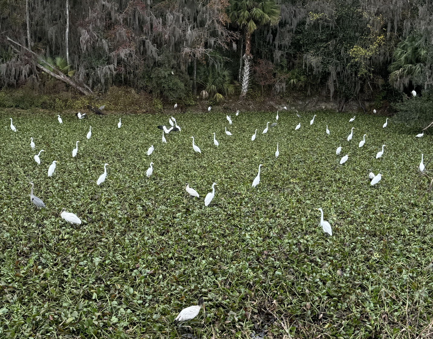 Screenshot 2025-02-15 at 3.31.58 PM.png