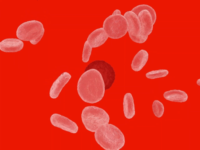 13_RedBloodCellsLeukocyte_Colorway01_v1_1.gif