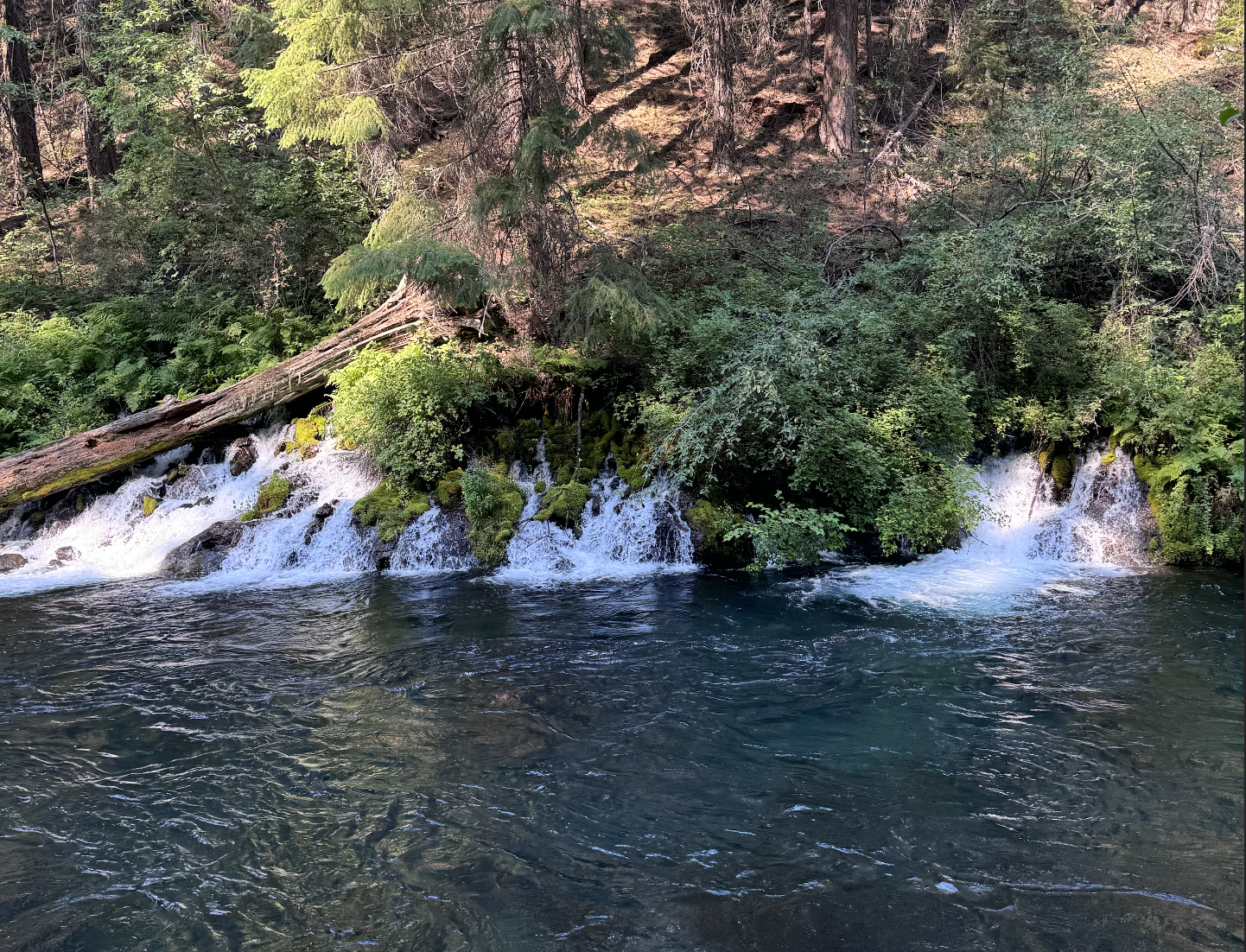 Screenshot 2025-02-15 at 3.27.42 PM.png