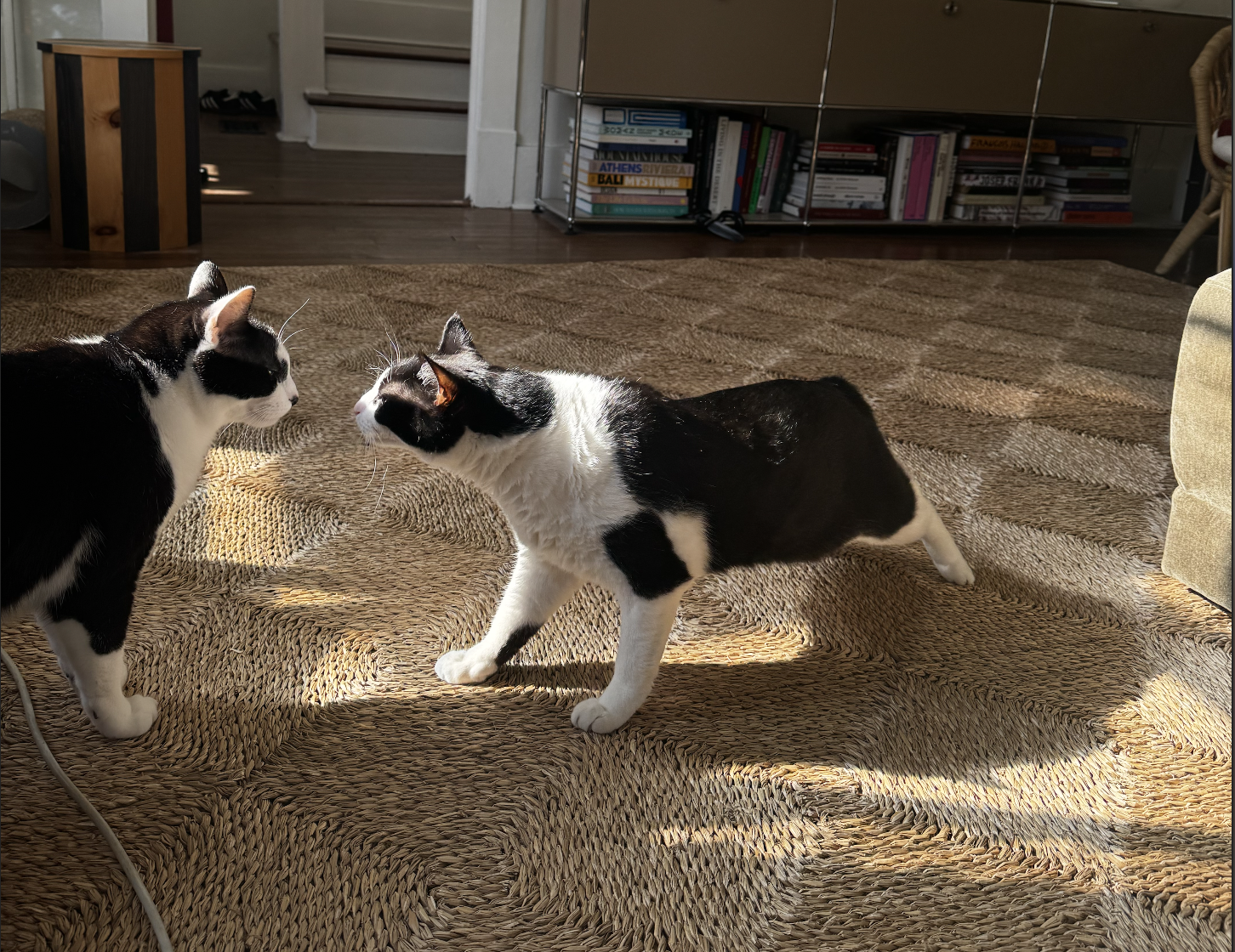 Screenshot 2025-02-15 at 3.20.33 PM.png