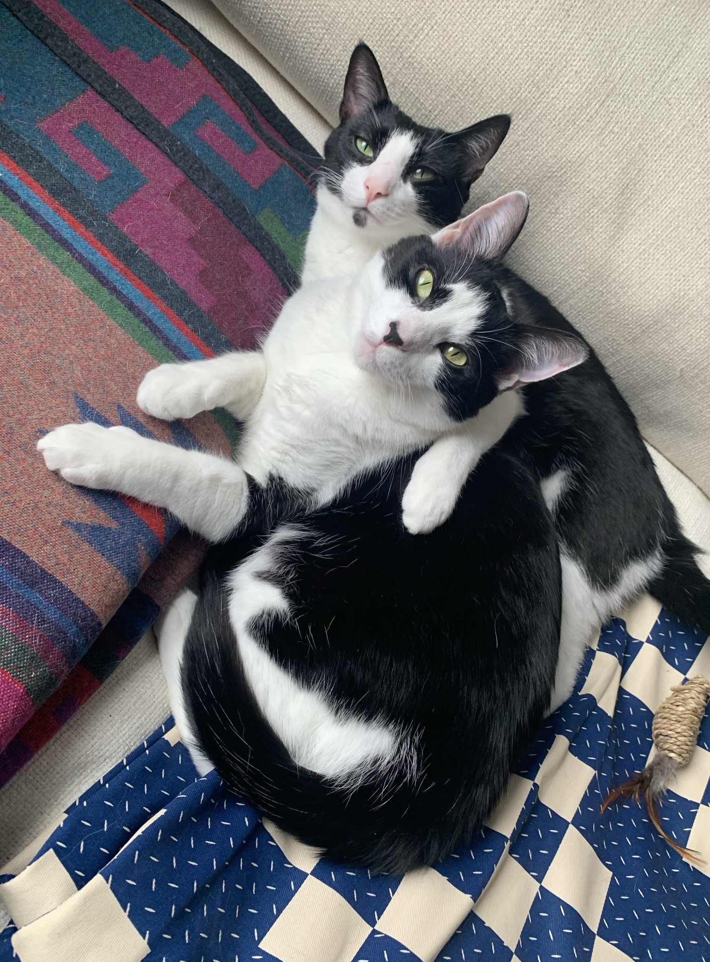 Screenshot 2025-02-15 at 1.19.28 PM.png