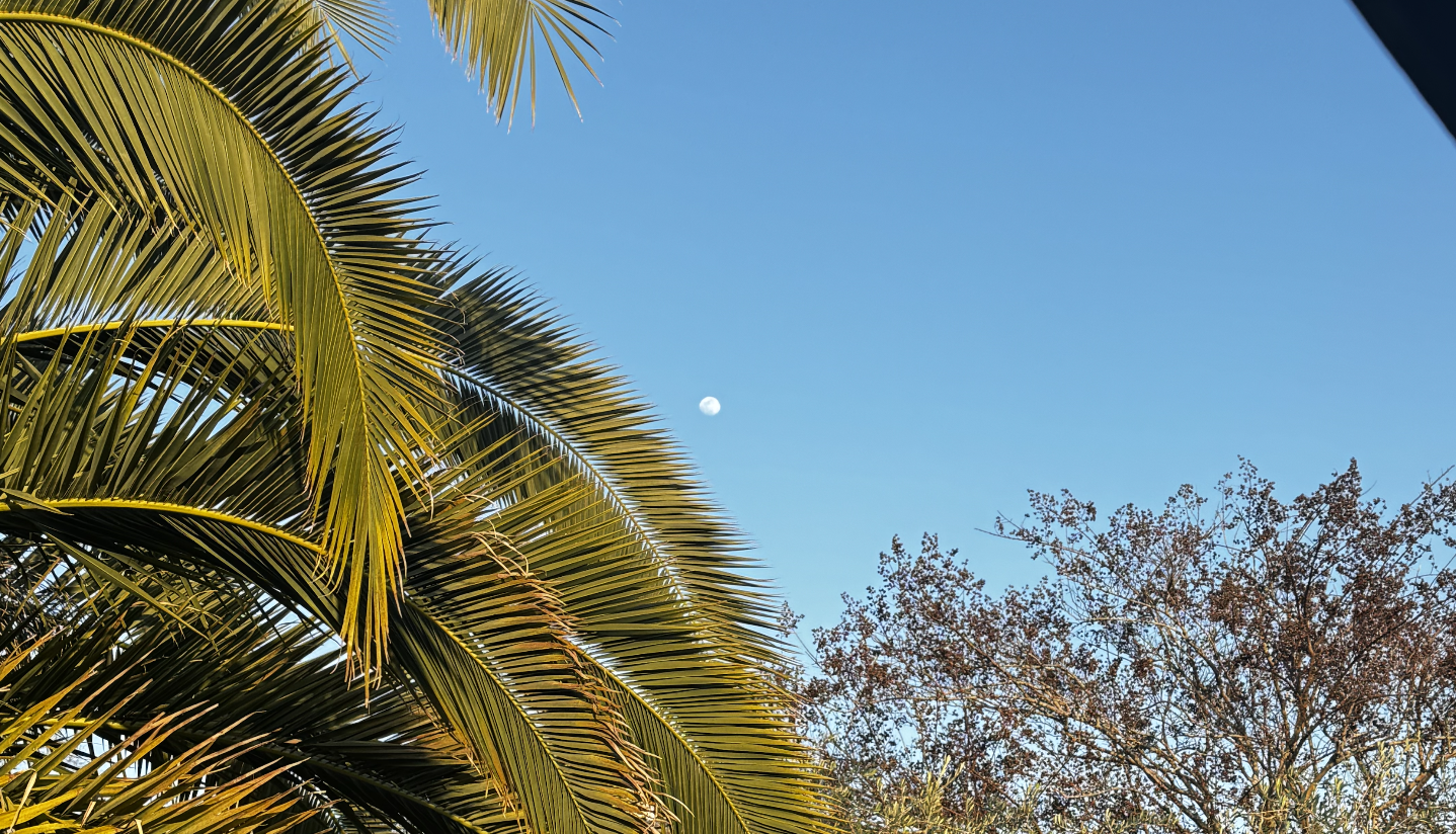 Screenshot 2025-02-15 at 3.20.49 PM.png