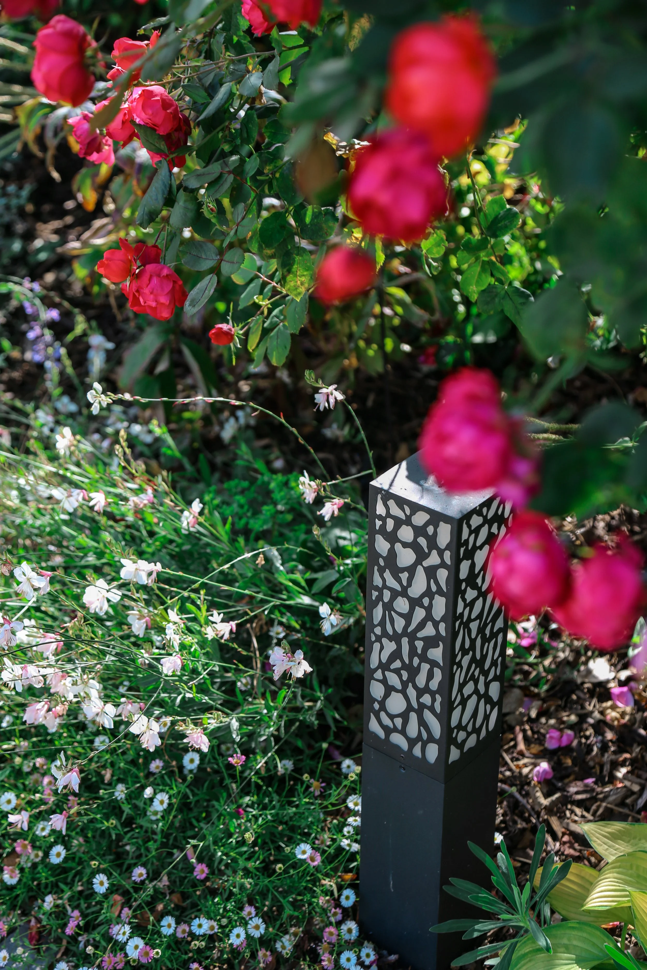 A garden with red roses and small white flowers, featuring a decorative black and white lantern-style garden light.