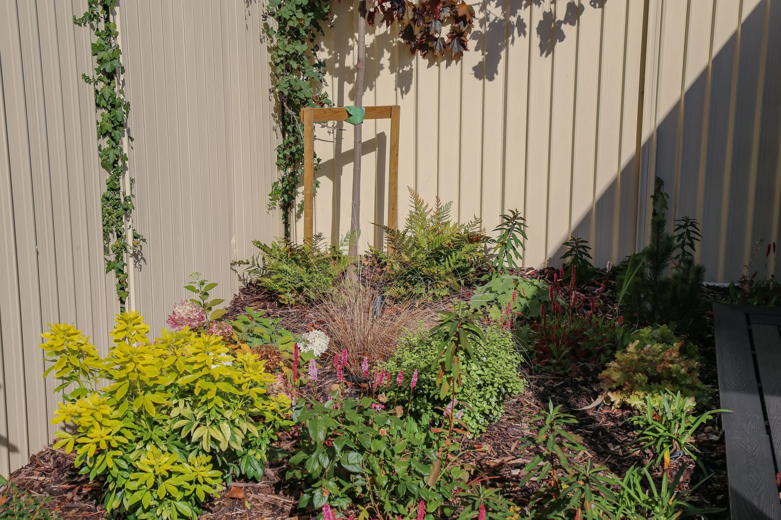 A garden with various plants and flowers against a beige metal fence, with a small tree supported by wooden stakes. and a shadow covering part of the garden.