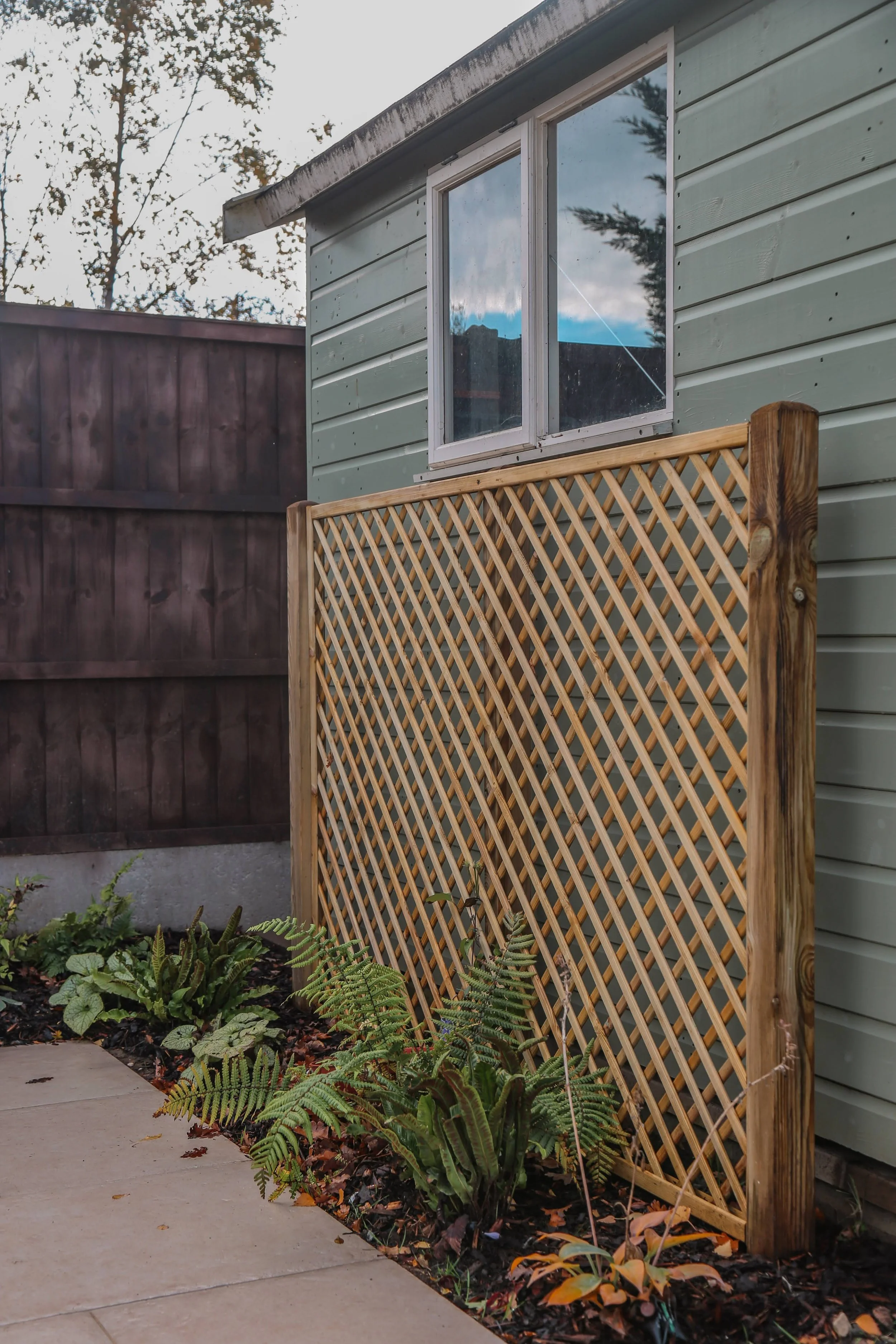 planting bed with climbing plants and a lattice
