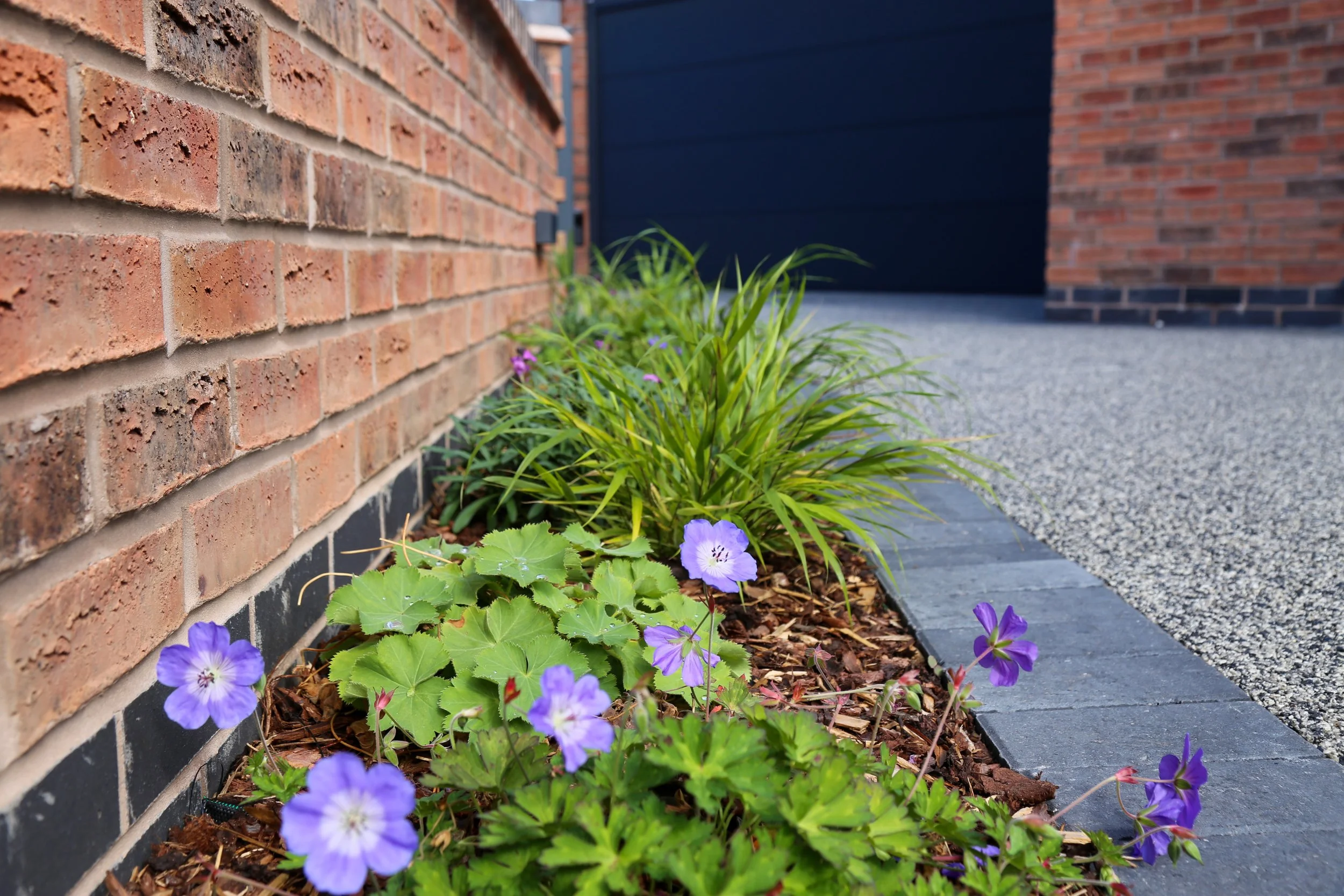 A garden bed with purple flowers and green foliage beside a brick wall and a textured driveway.