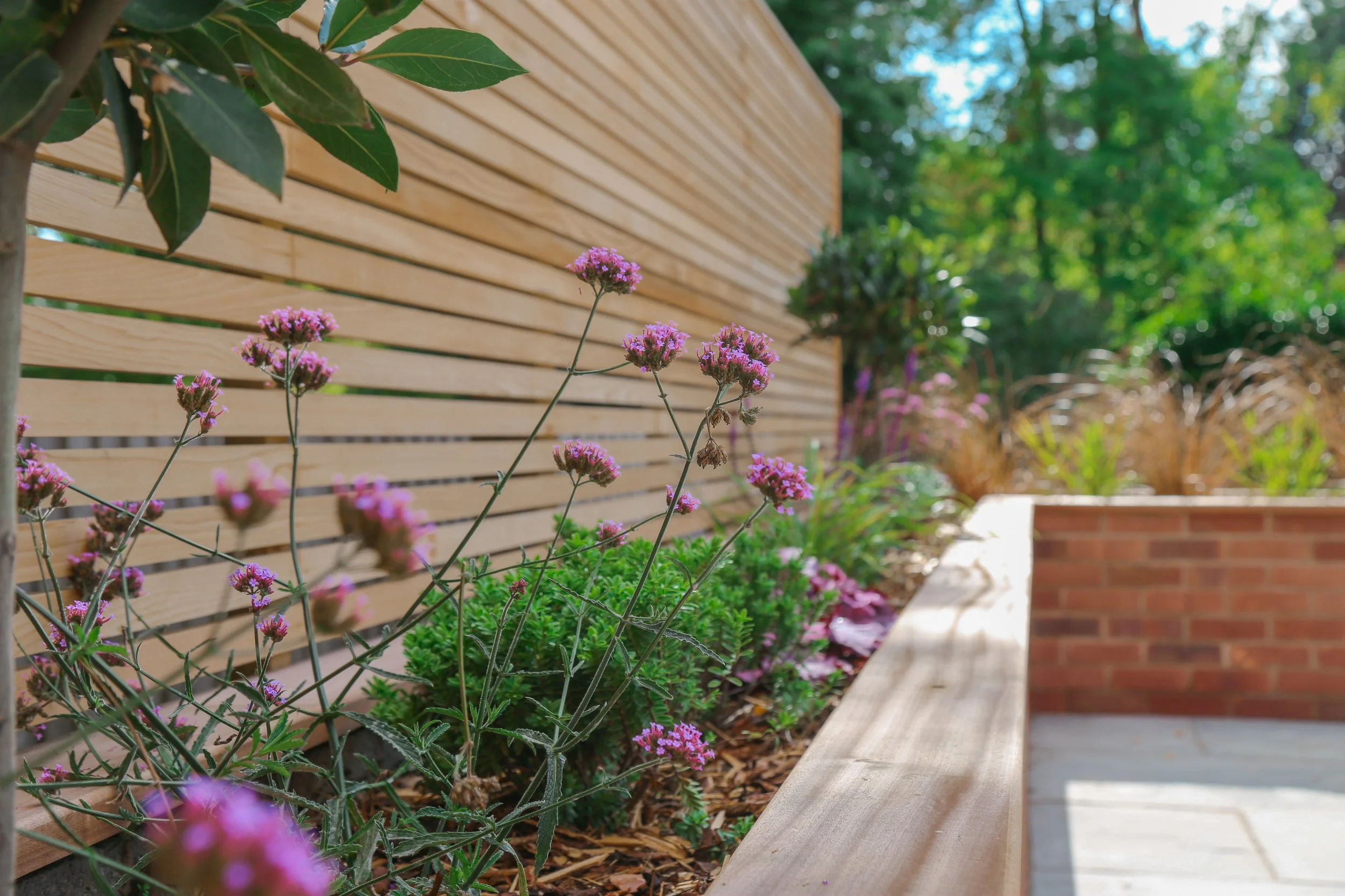 A raised planting bed with seasonal planting, backed by a cedar fence and trees in the background