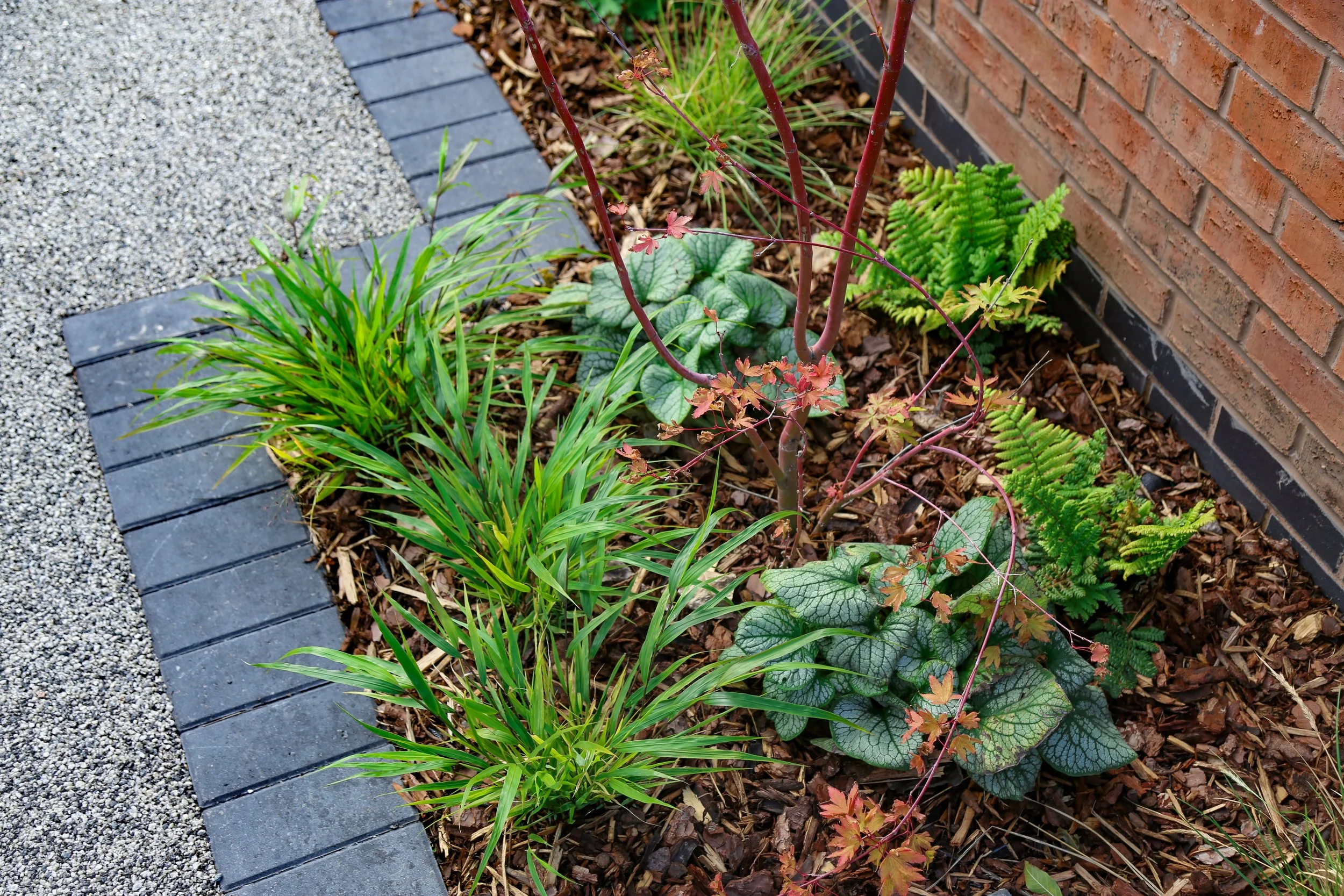 A landscaped garden bed with various green plants and mulch, bordered by dark gray bricks and a brick wall.