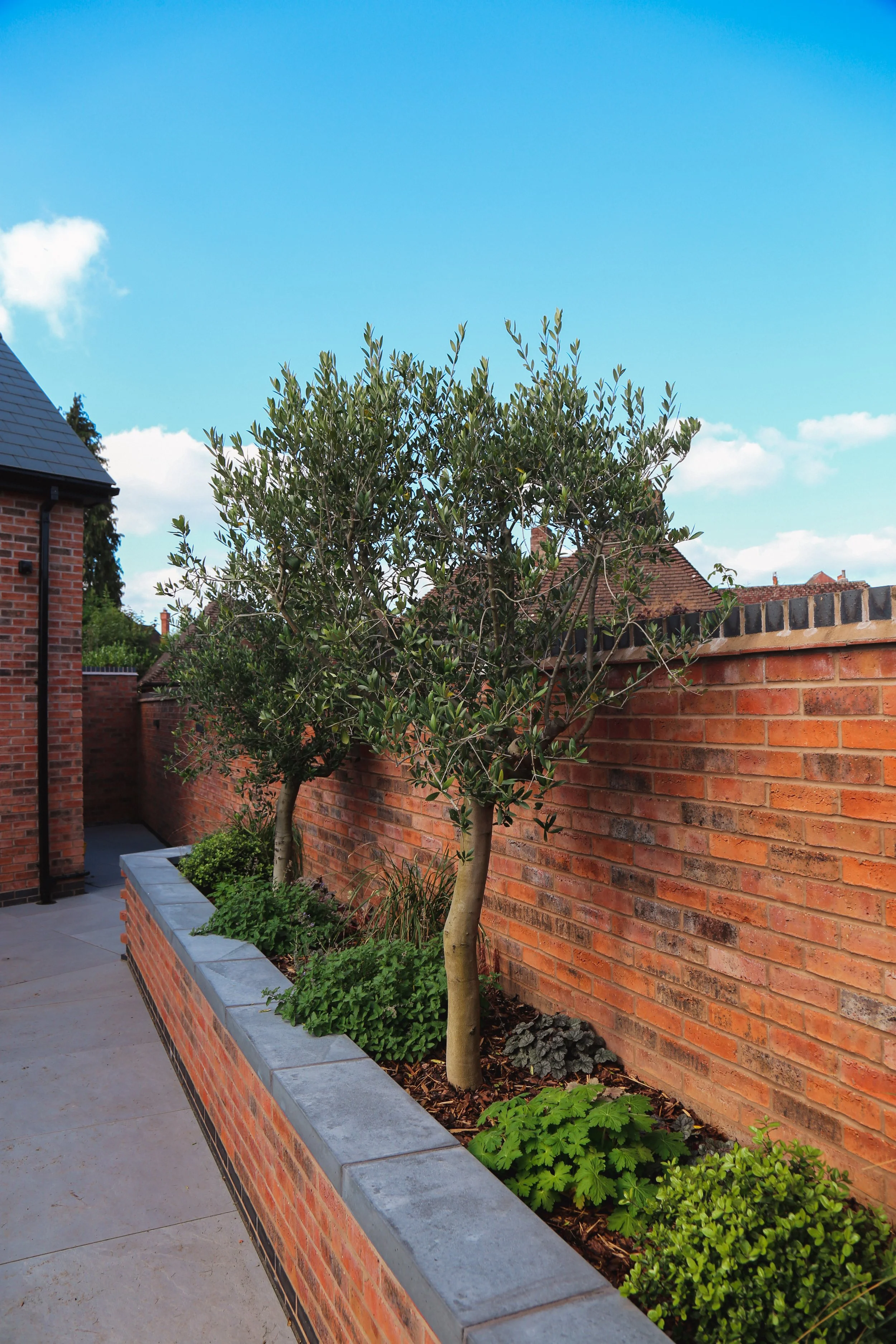 A landscaped courtyard with two small trees in a brick planter, brick wall, and paved patio under a blue sky with some clouds.