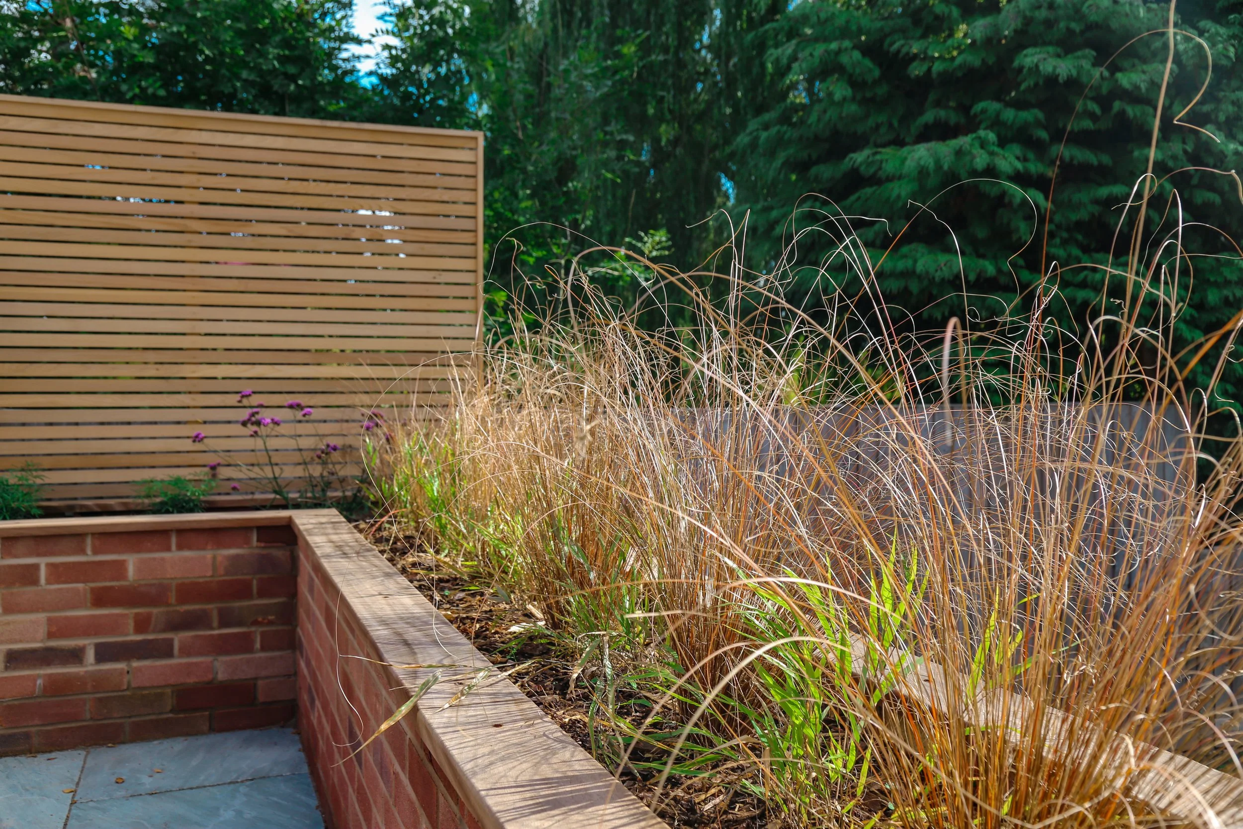 Ornate grasses planted in a raised planting bed,  cedar screening fence