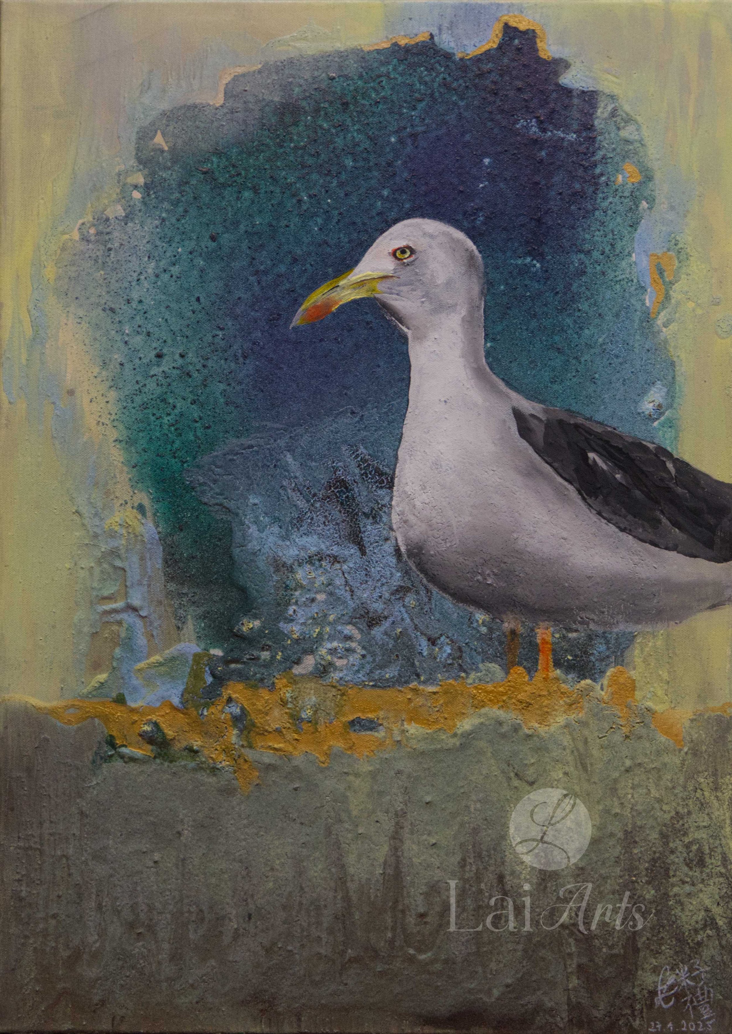 Möwe.jpg
