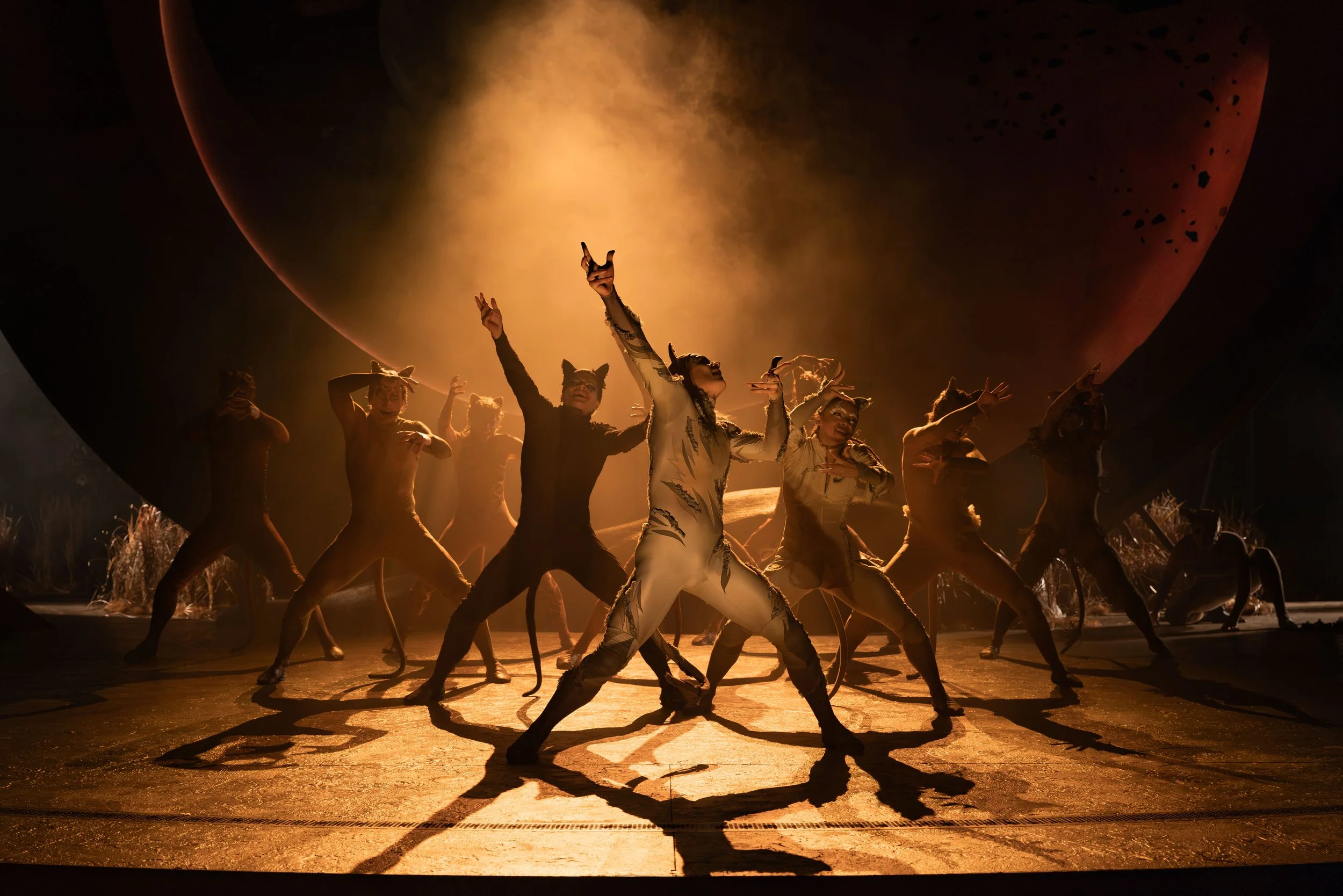 Cast of CATS. Credit Mark Senior. 4D4A8248-Edit.jpg