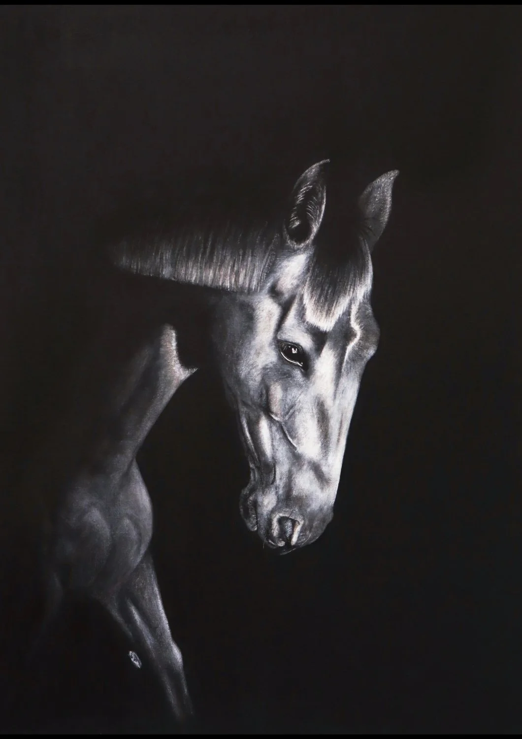 'Bay' (2026), acrylic on canvas board